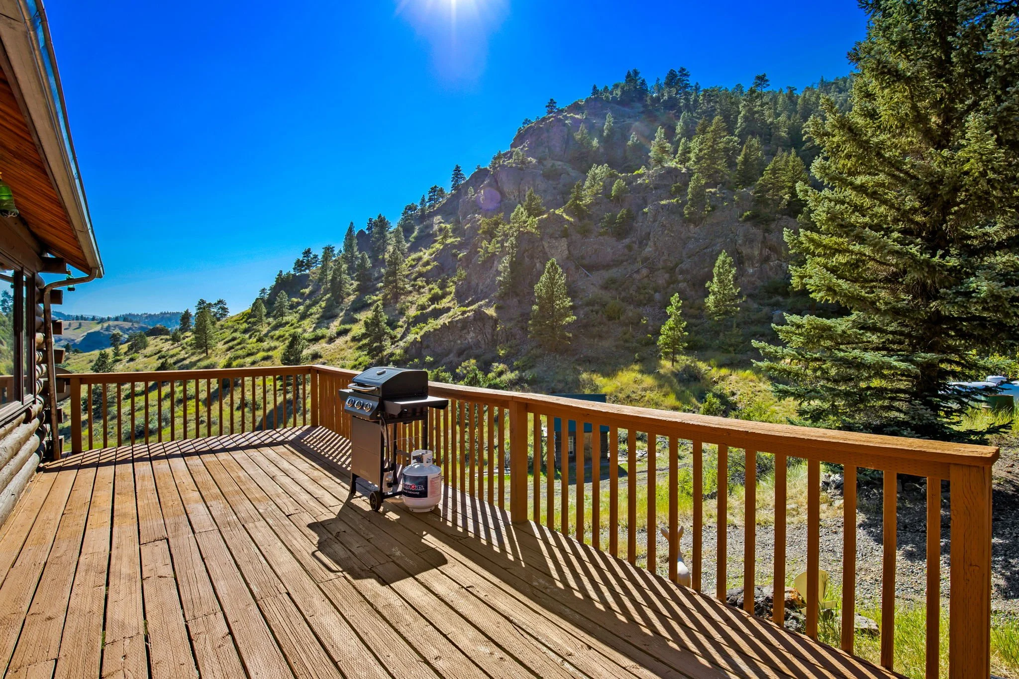 9-web-or-mls-REP-Space-47-Scenic-Valley-Lane-Cascade-MT (9).jpg