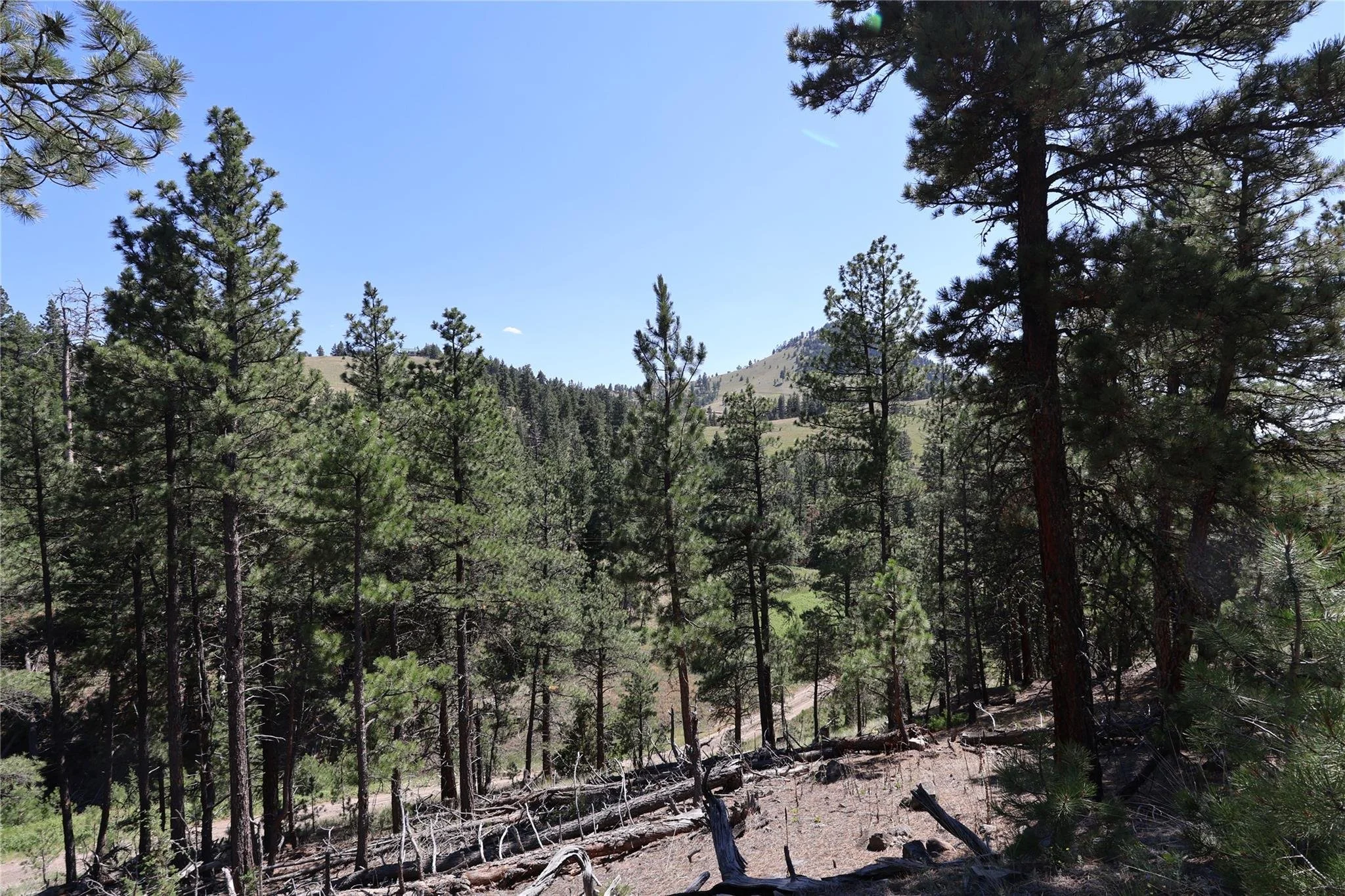 Build your own cabin.jpg