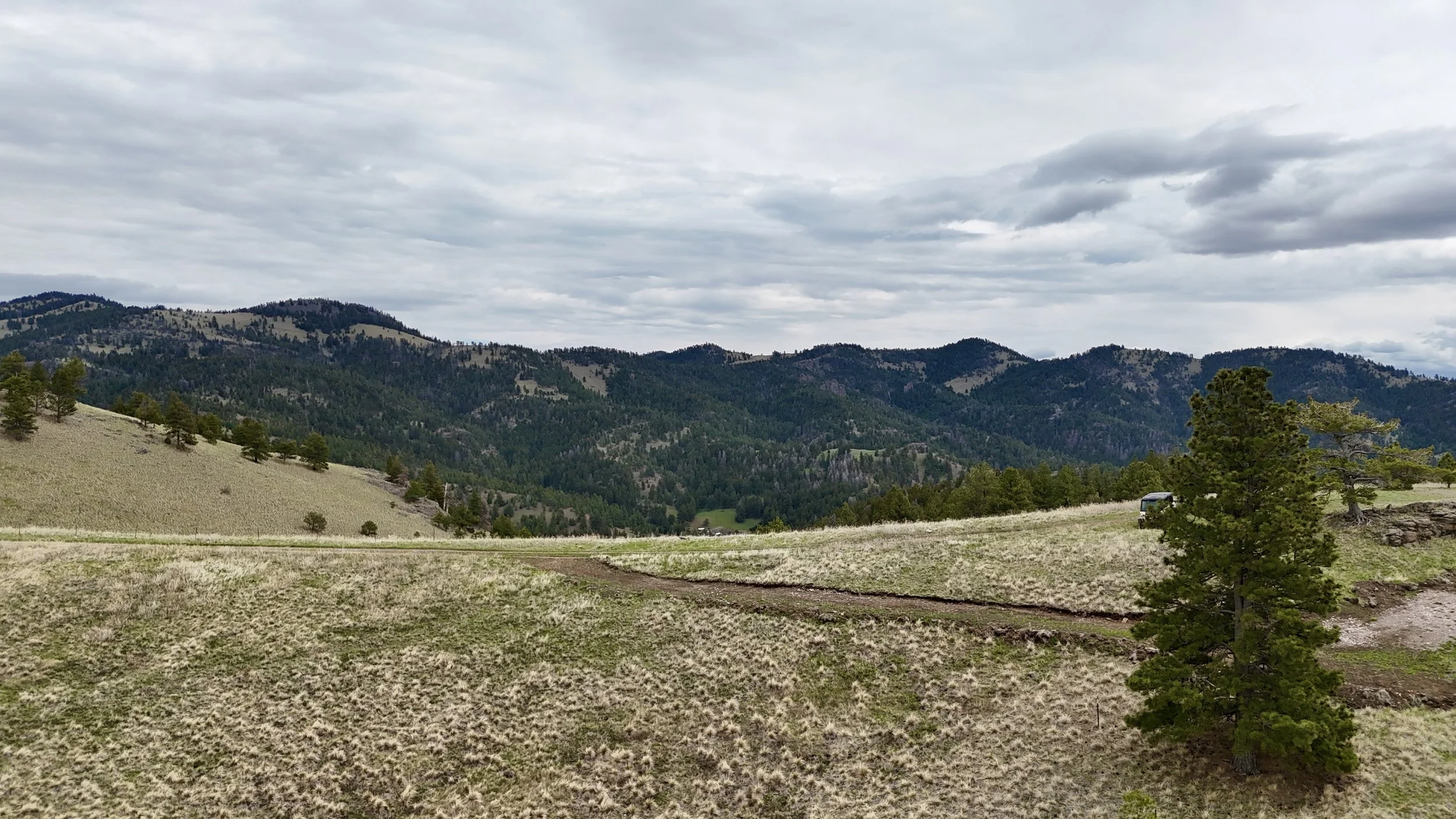 DJI_20260507134624_0078_D.JPG