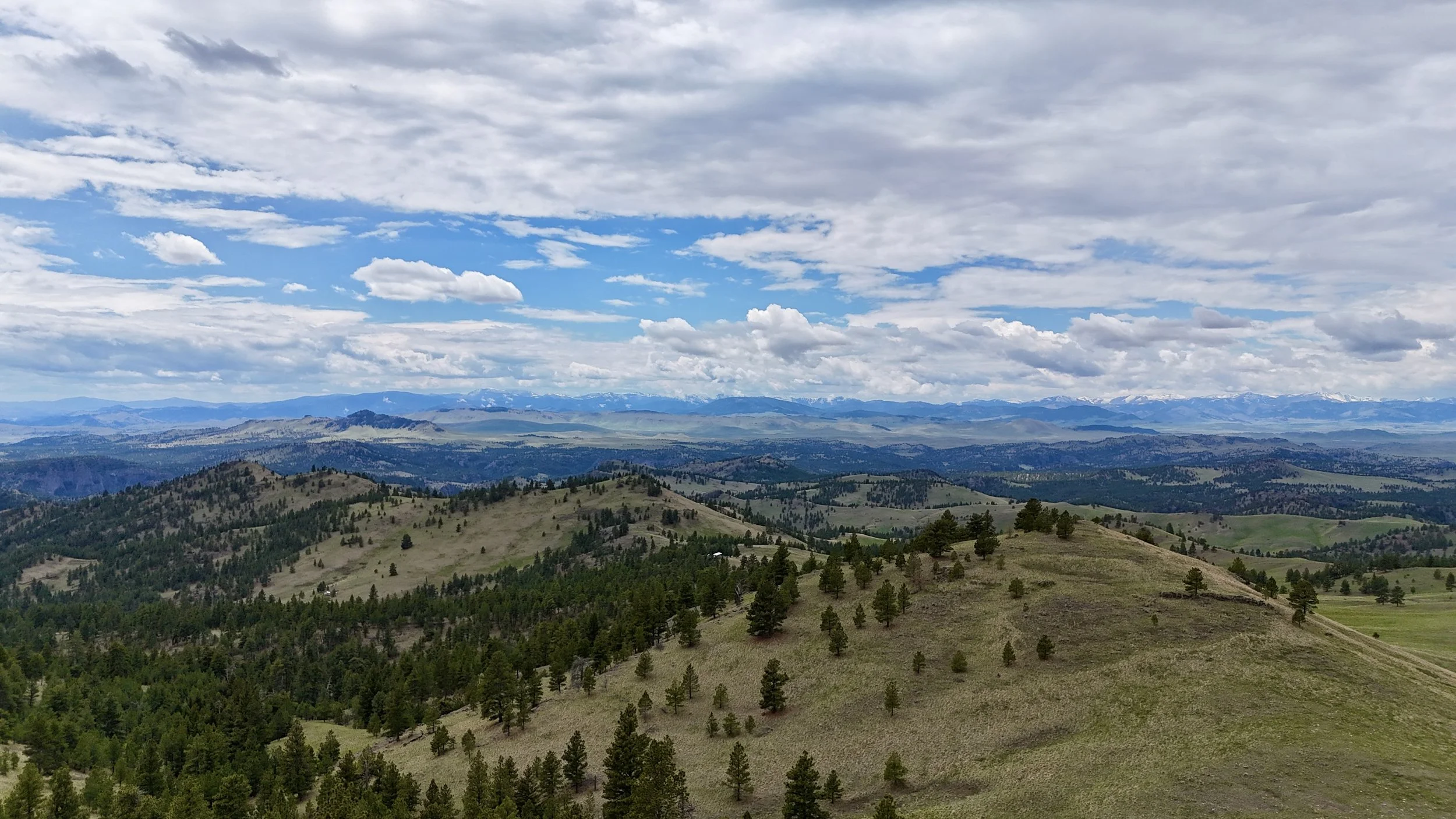 DJI_20260507134817_0088_D.JPG