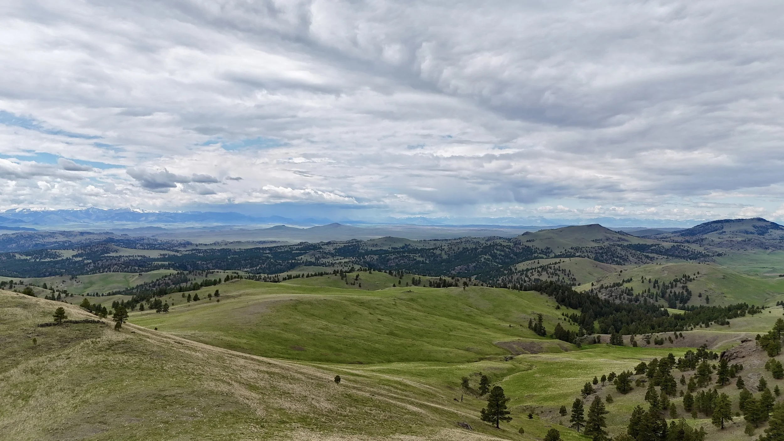 Montana Properties FOr Sale.JPG