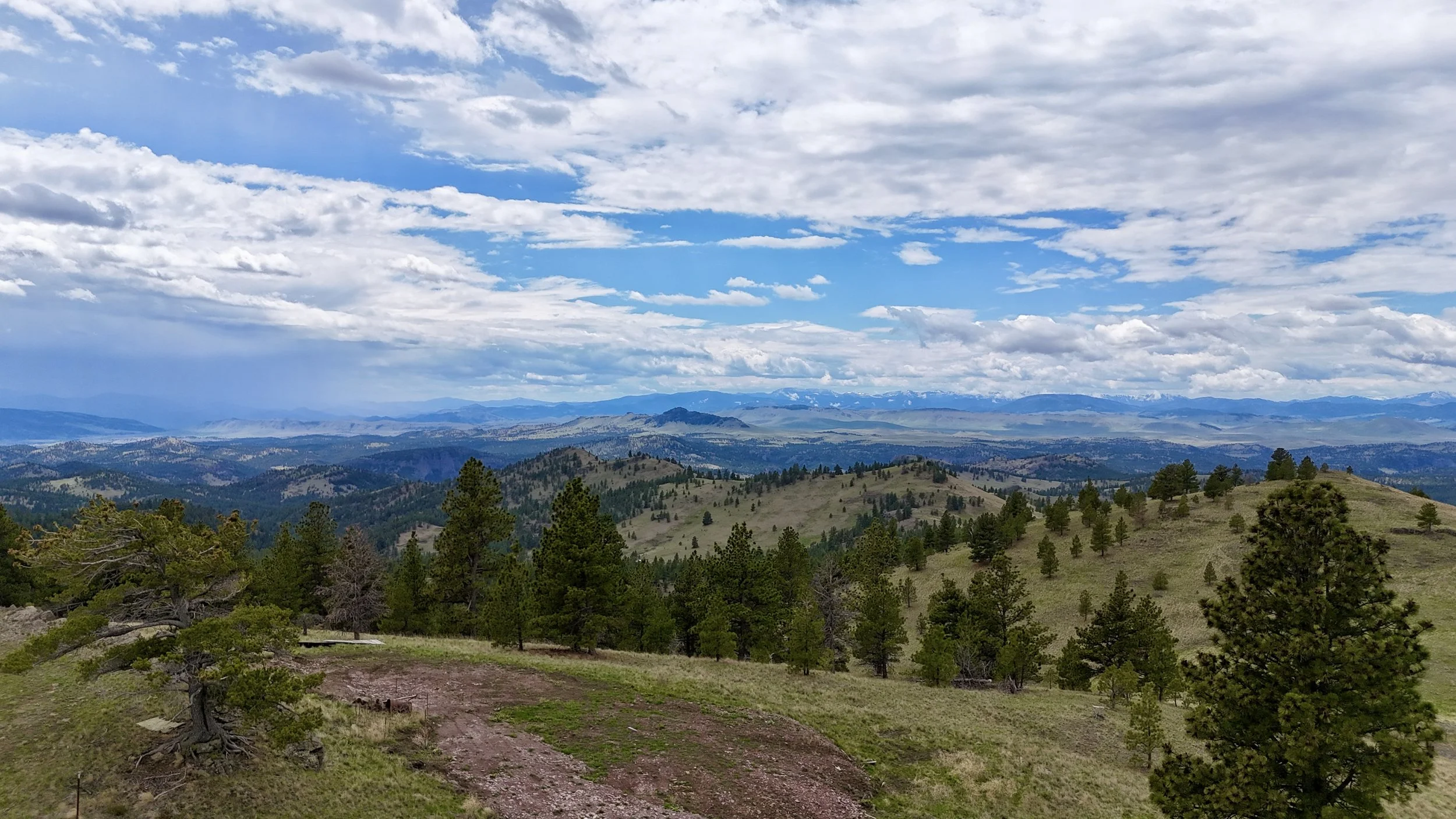 DJI_20260507134522_0075_D.JPG