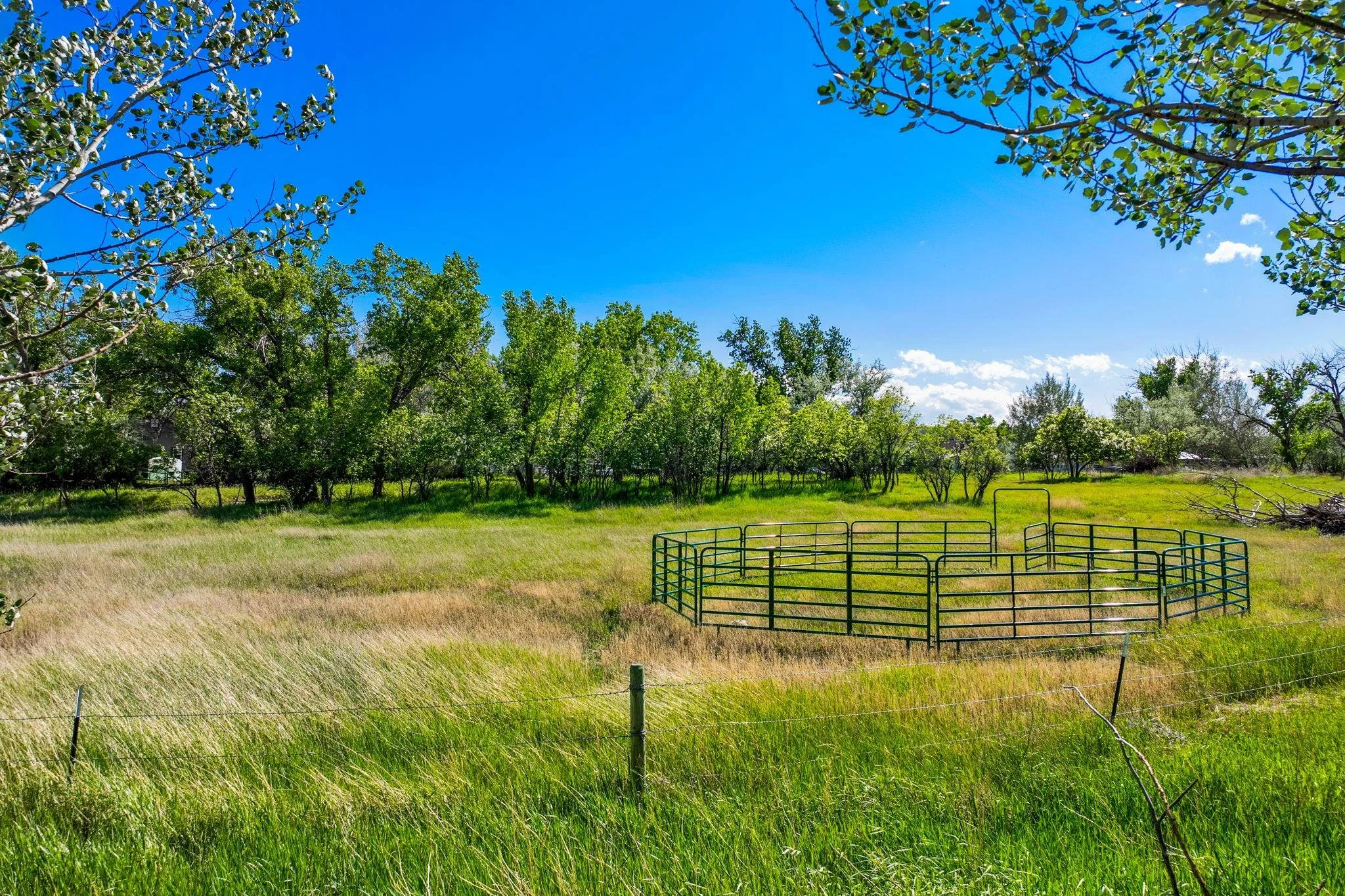 Equine Property in Montana.jpg