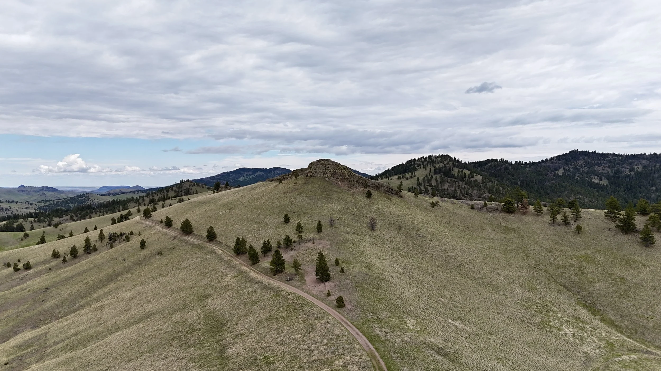 DJI_20260507134835_0092_D.JPG