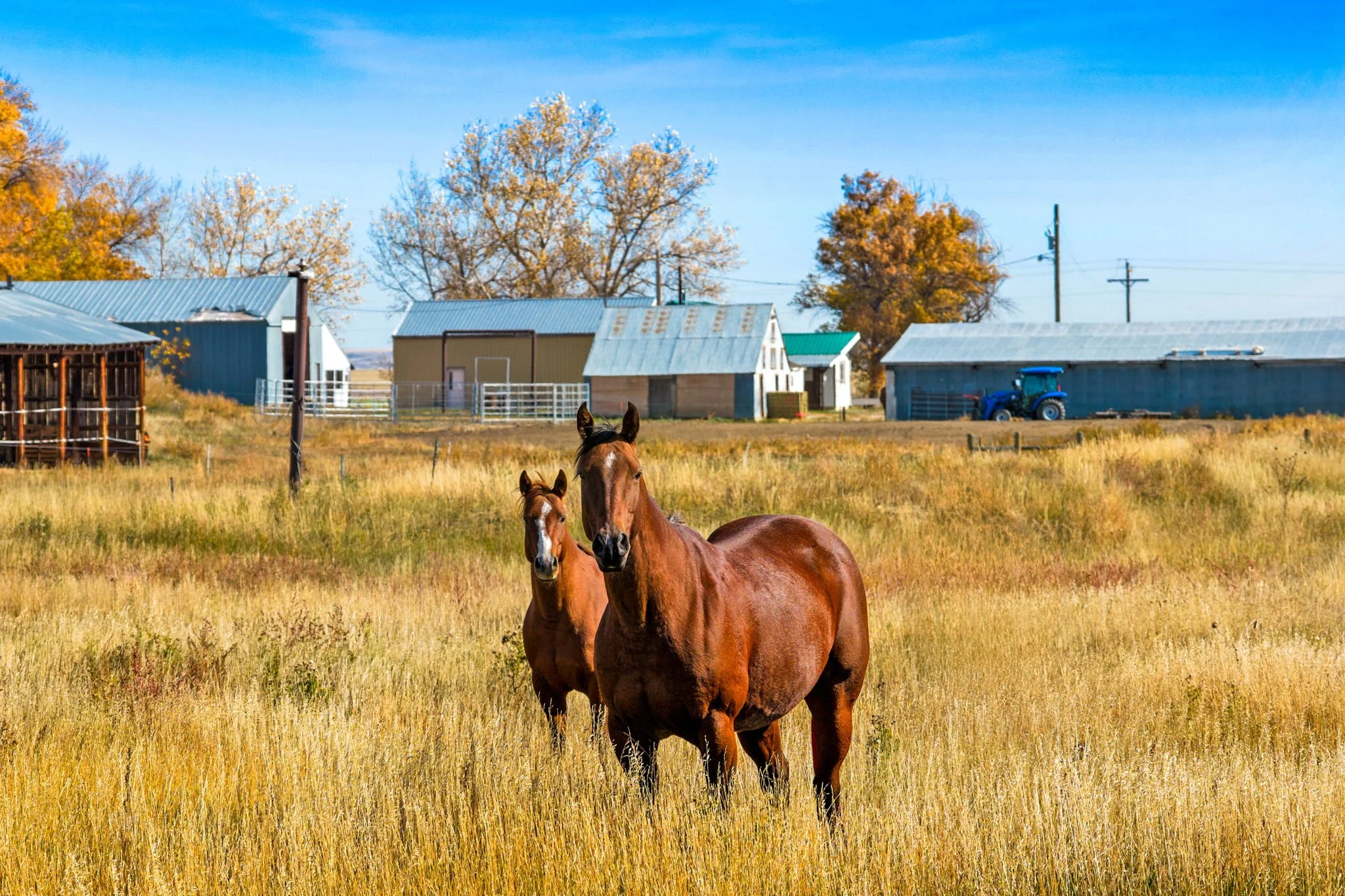 47-web-or-mls-REP-Space-7793-Old-Shelby-Road-Conrad-MT (47).jpg