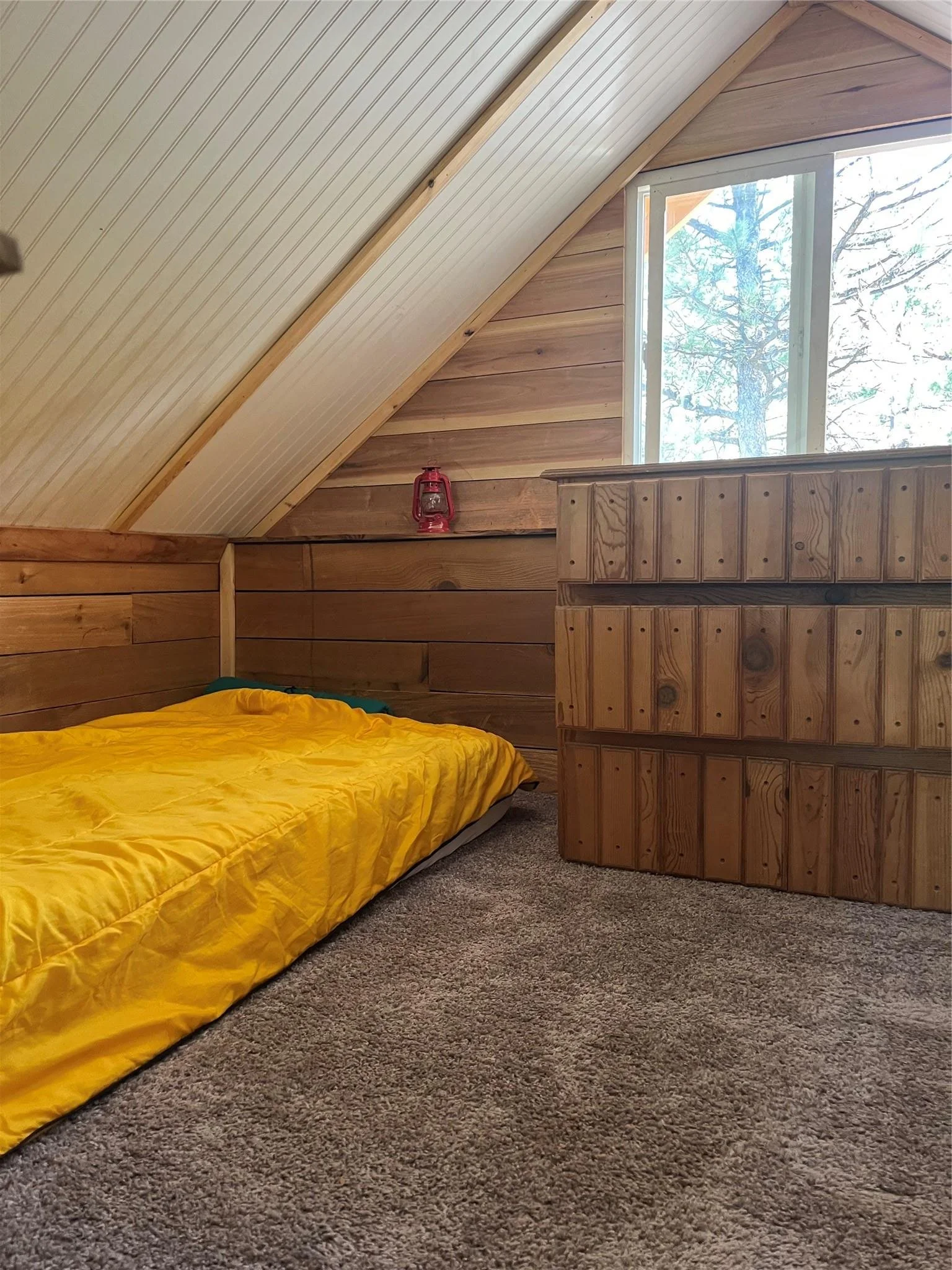 CABIN18.jpg