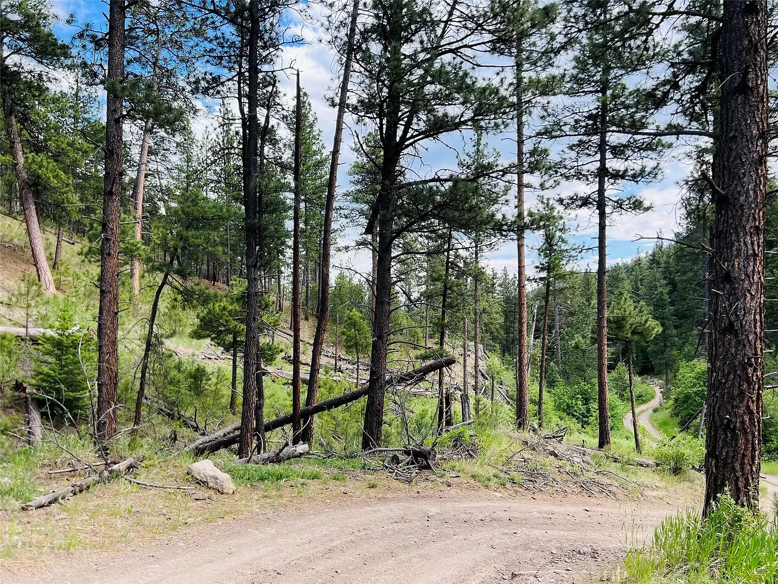 Nhn Upper Andy Creek Ln 9.webp