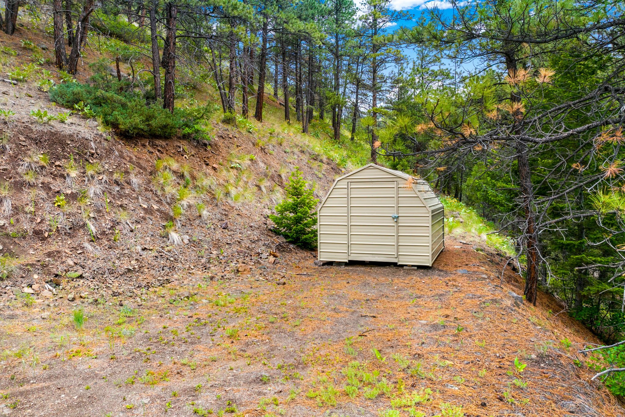 14-web-or-mls-REP-Space-84-Sugarloaf-Mountain-Lane-Cascade-MT (14).jpg