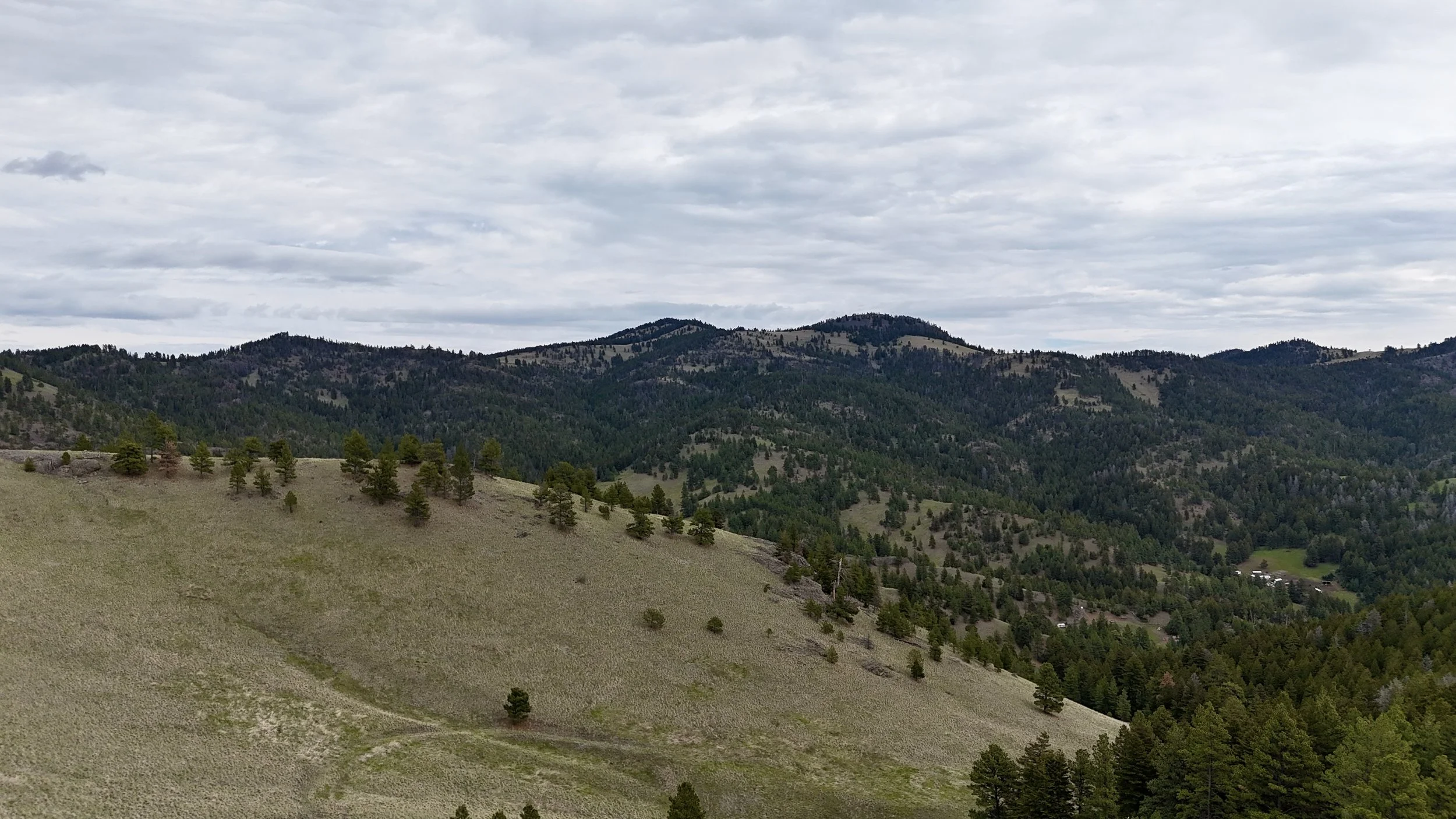 DJI_20260507134832_0091_D.JPG