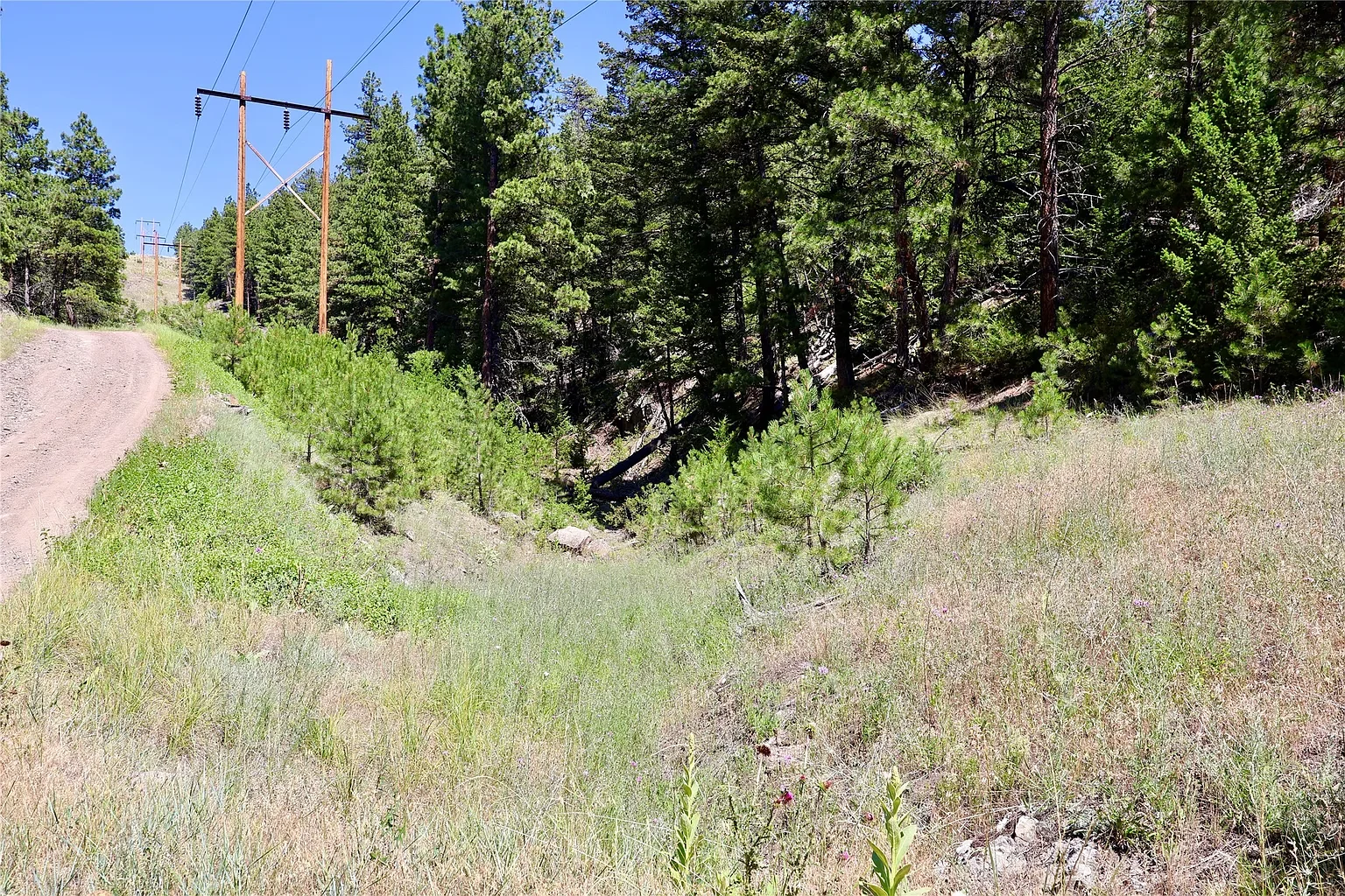 Montana property For Sale.webp