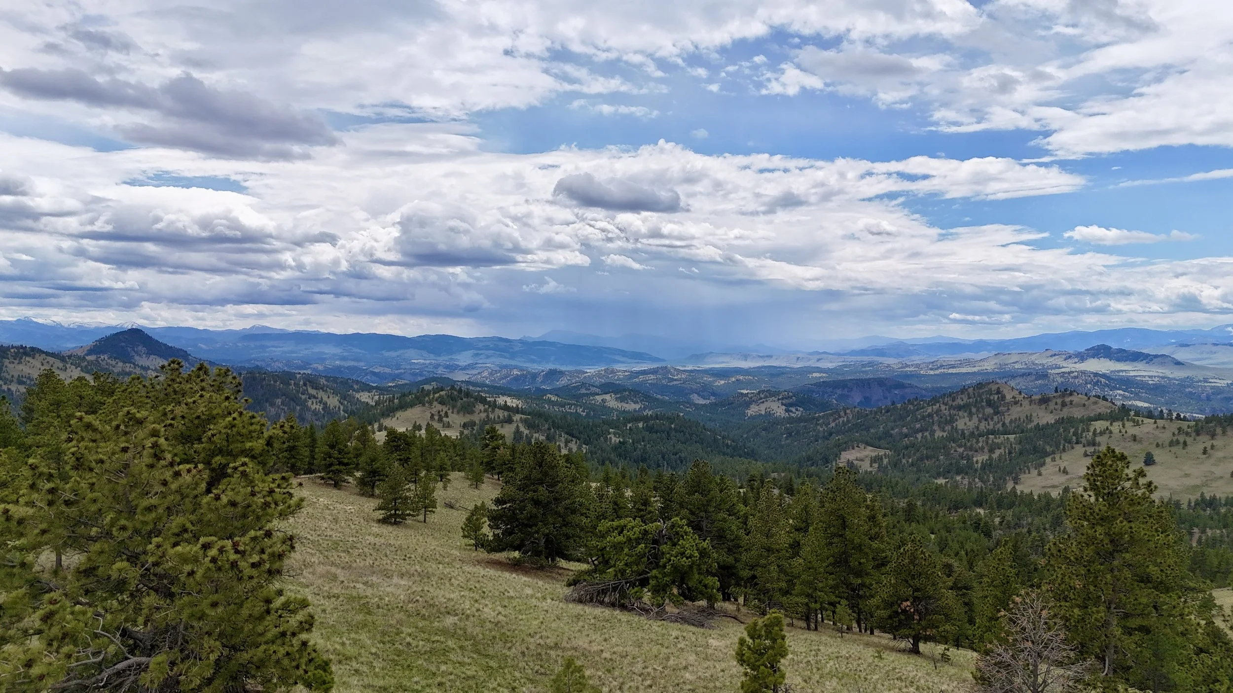 land for sale Cascade MT.JPG