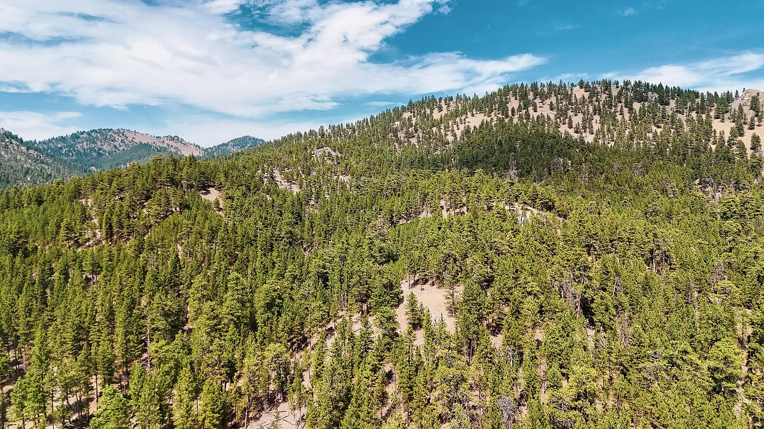 Nhn Upper Andy Creek Ln 10.webp