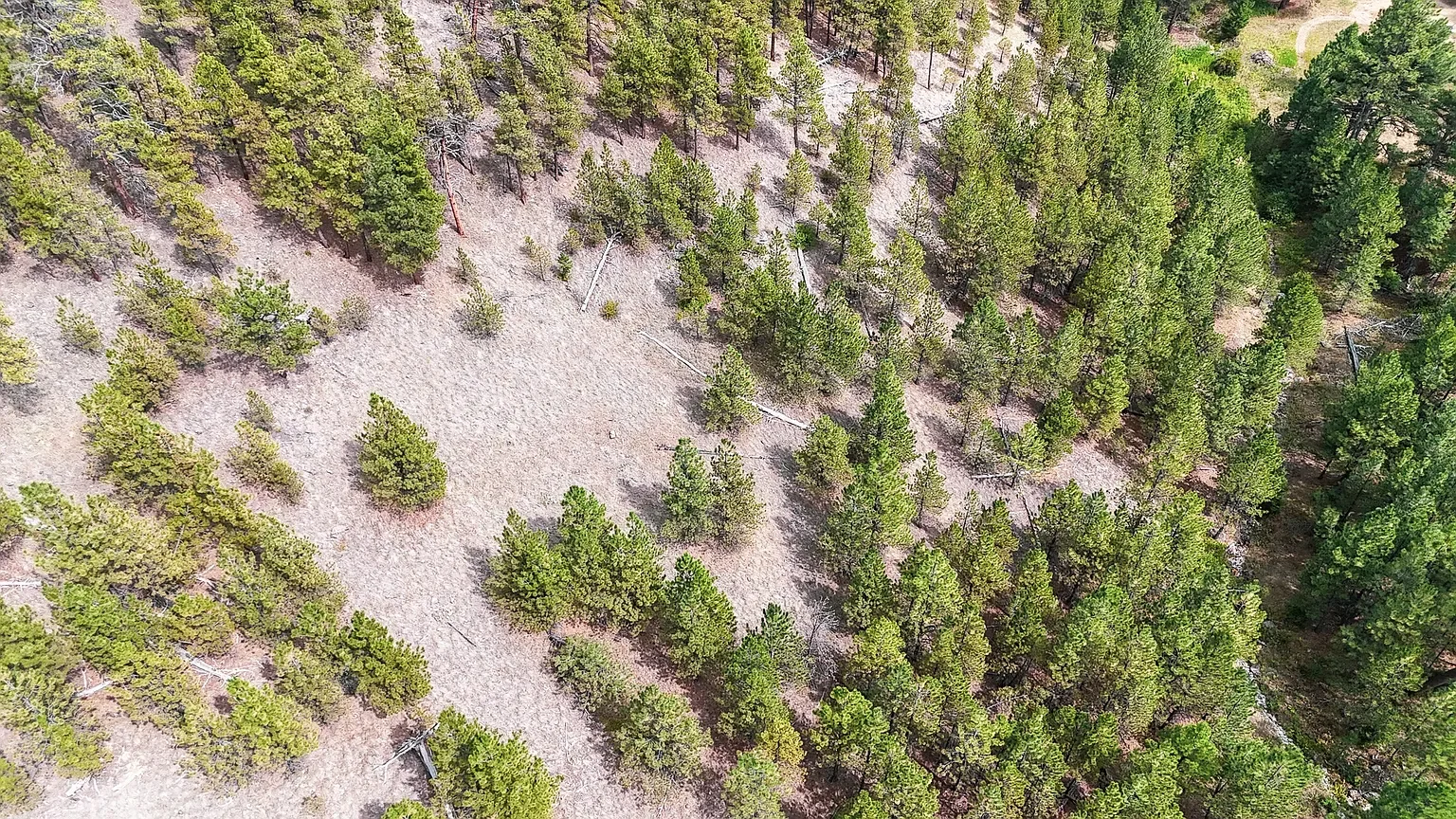 Nhn Upper Andy Creek Ln 11.webp