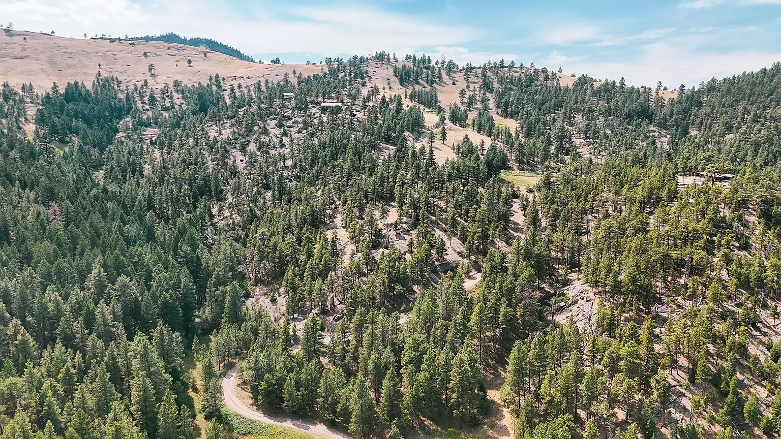 Nhn Upper Andy Creek Ln 4.webp