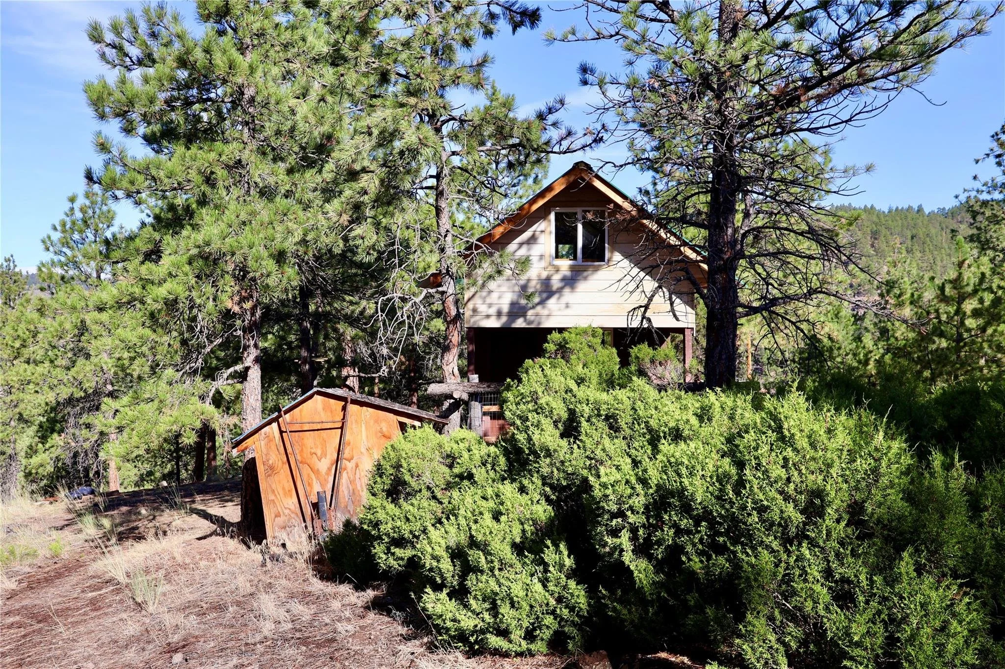 Cabin5.jpg