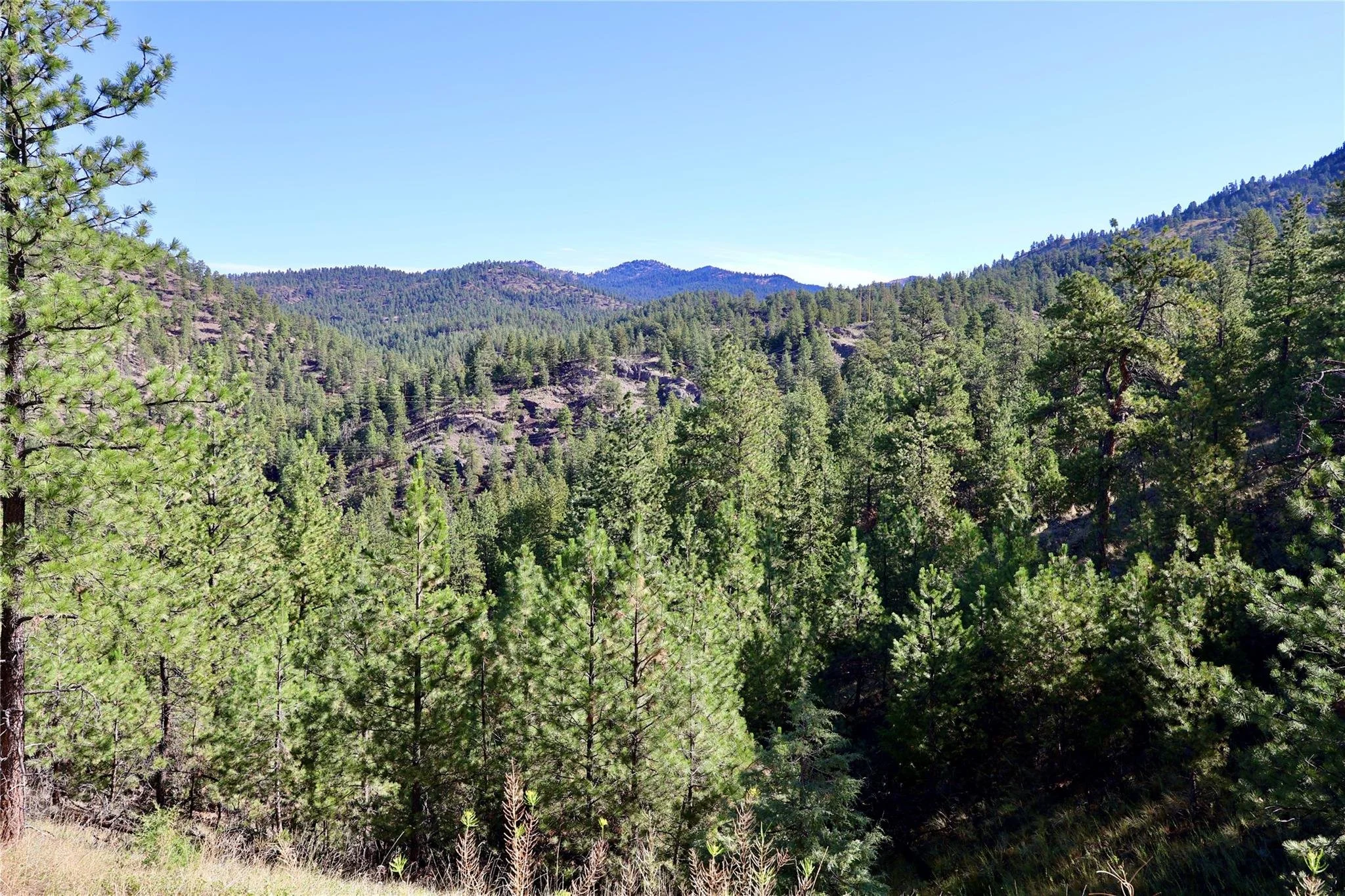 cABIN9.jpg