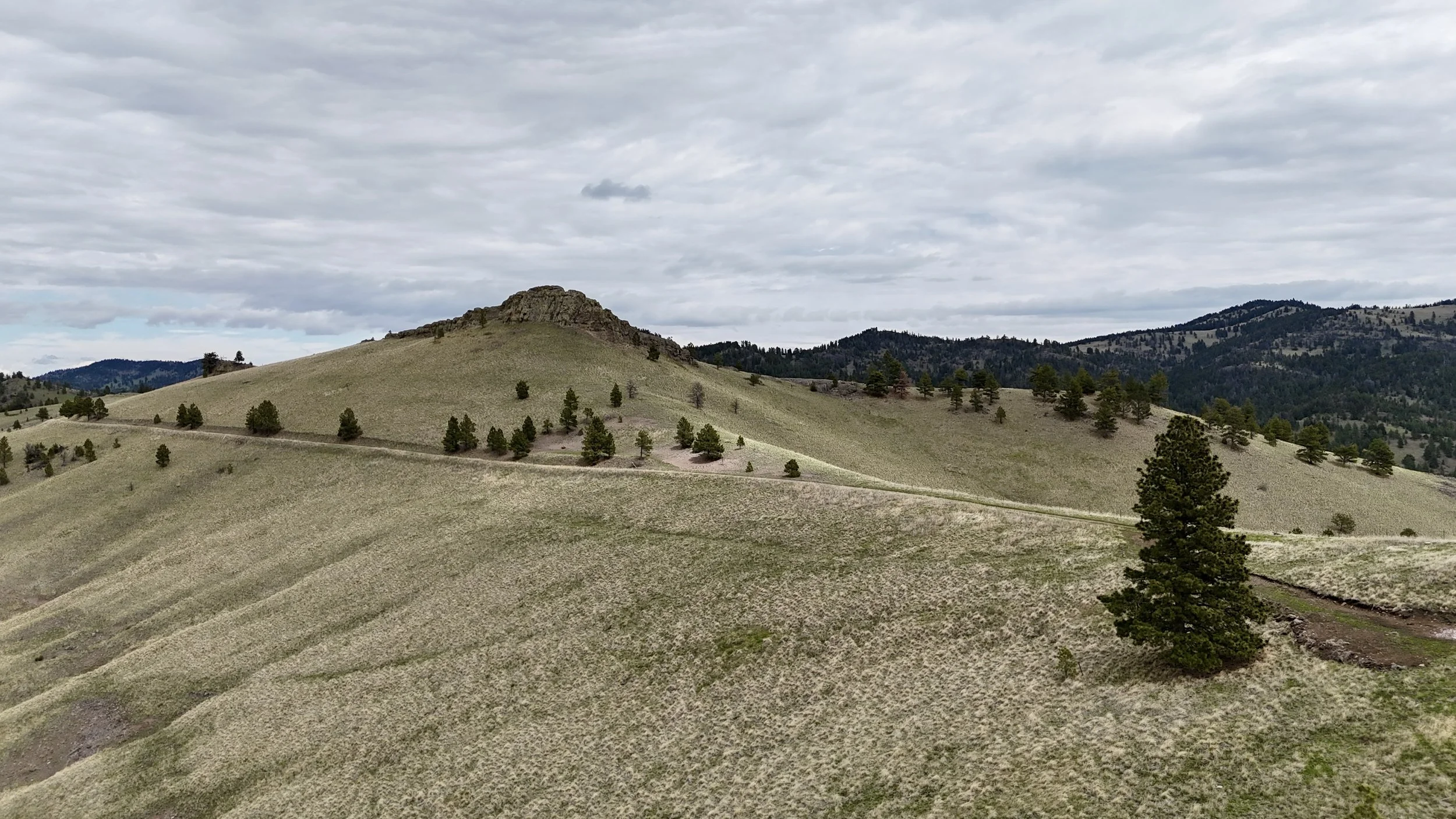 DJI_20260507134655_0083_D.JPG