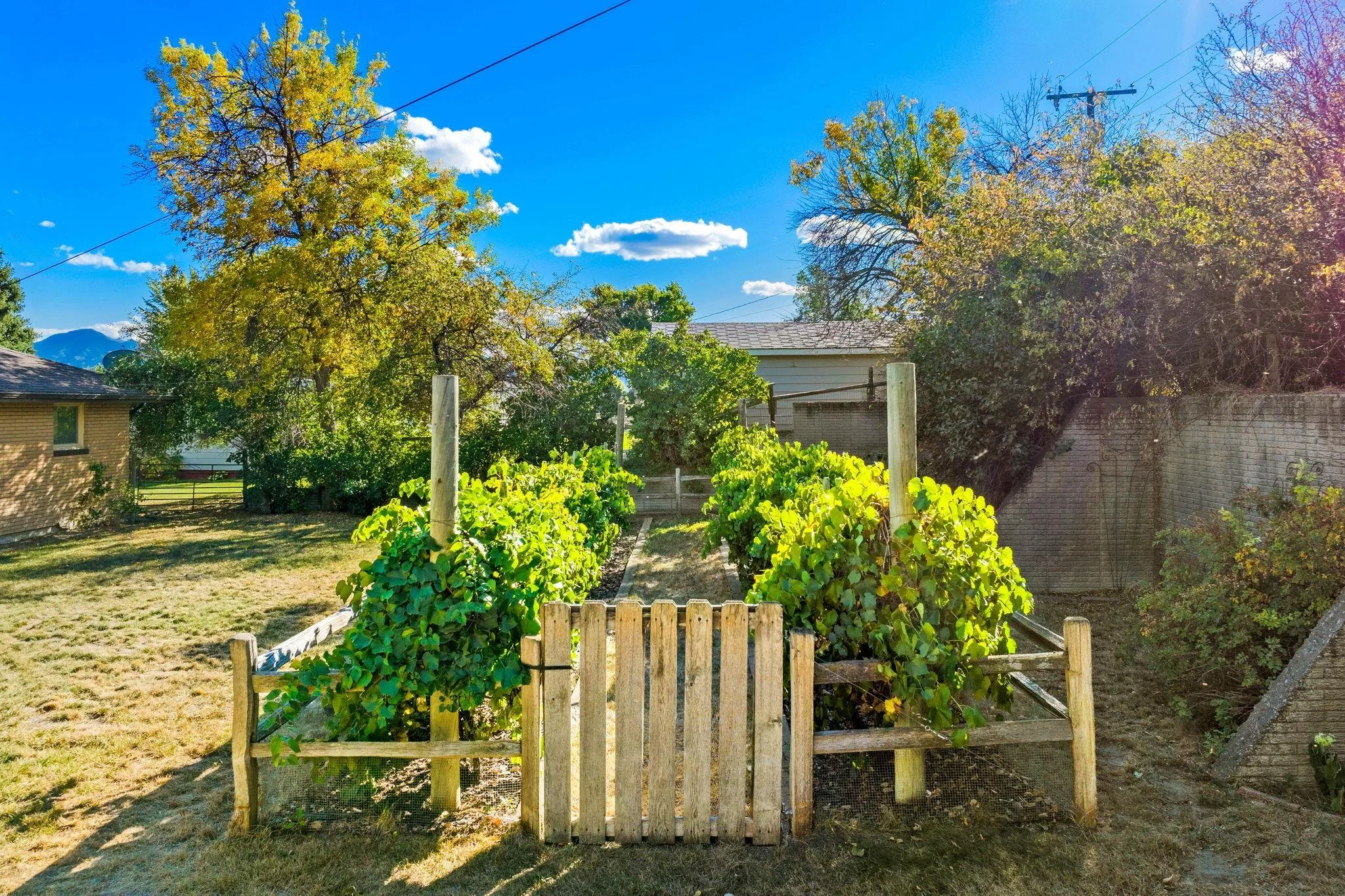 Garden In backyard.jpg