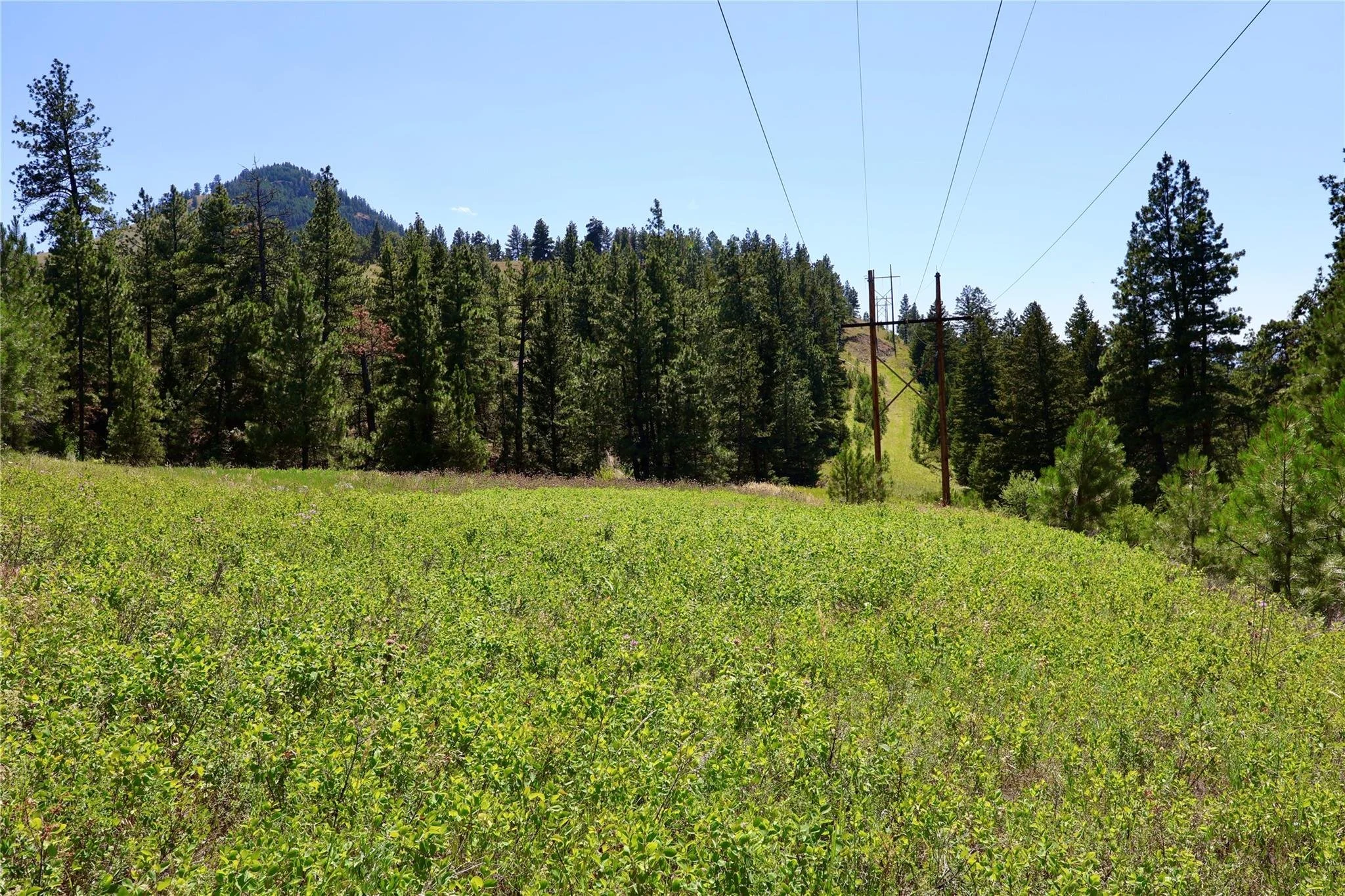 Mountain property 3.jpg