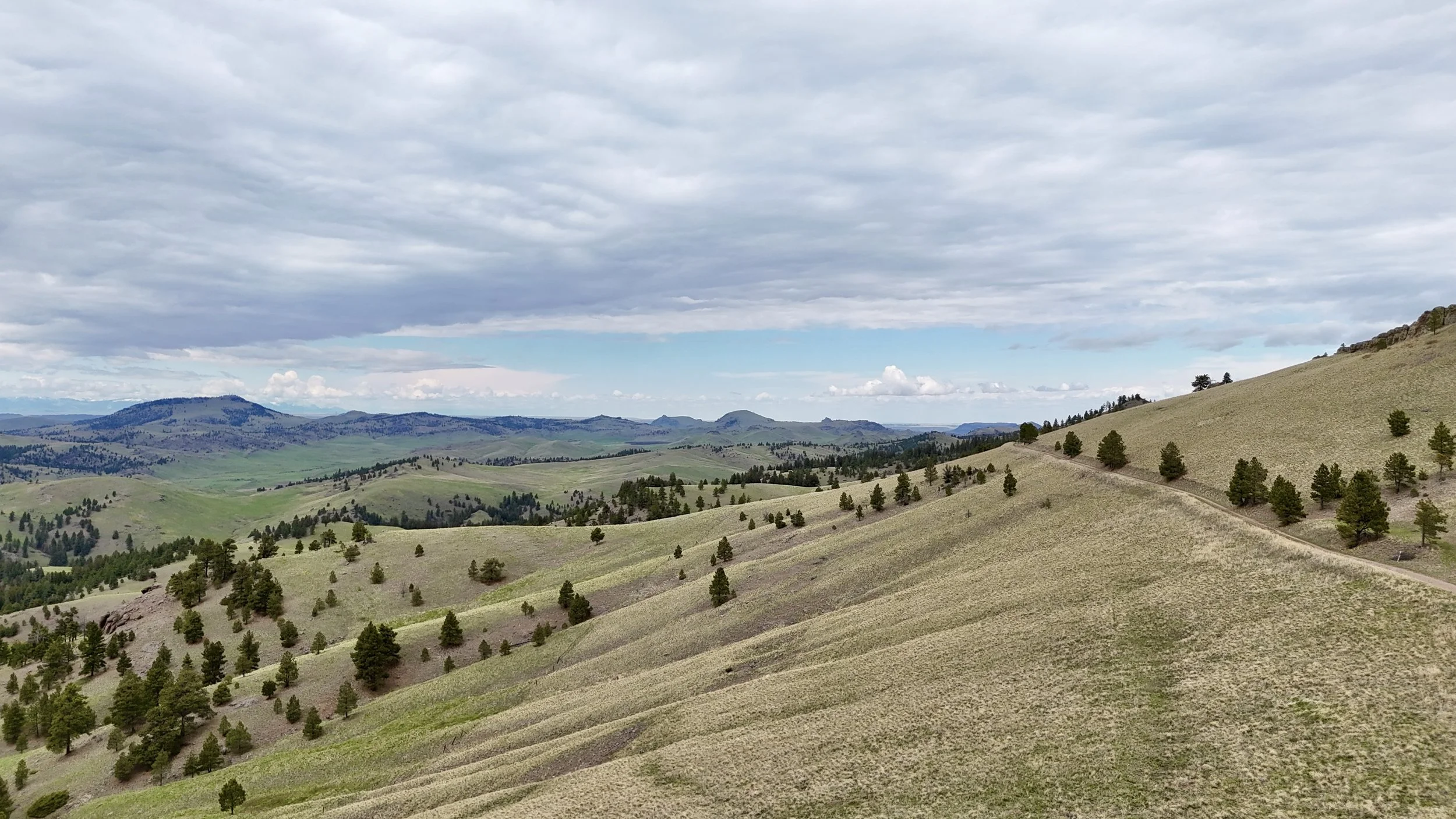 DJI_20260507134506_0074_D.JPG