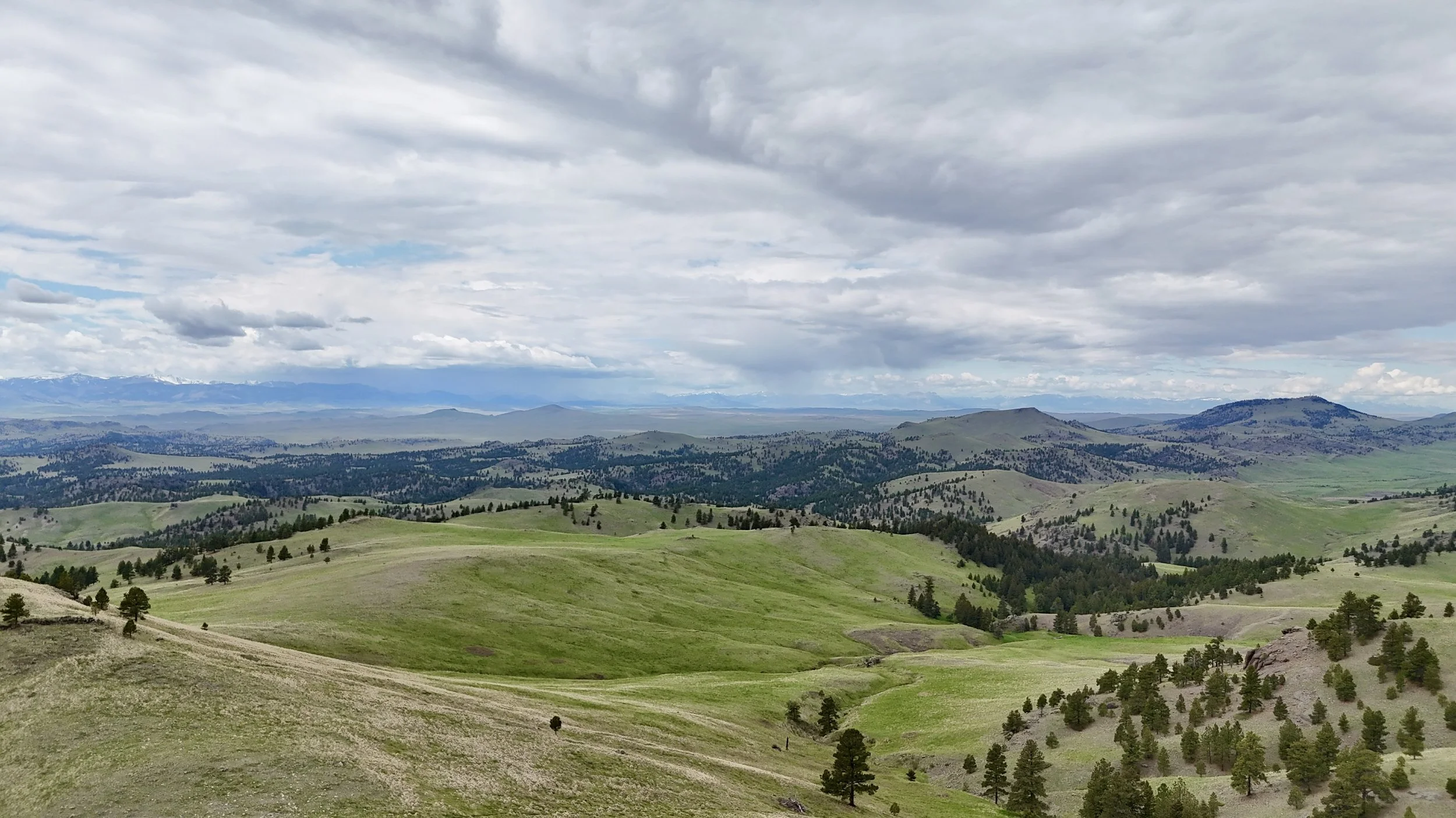 DJI_20260507134827_0090_D.JPG