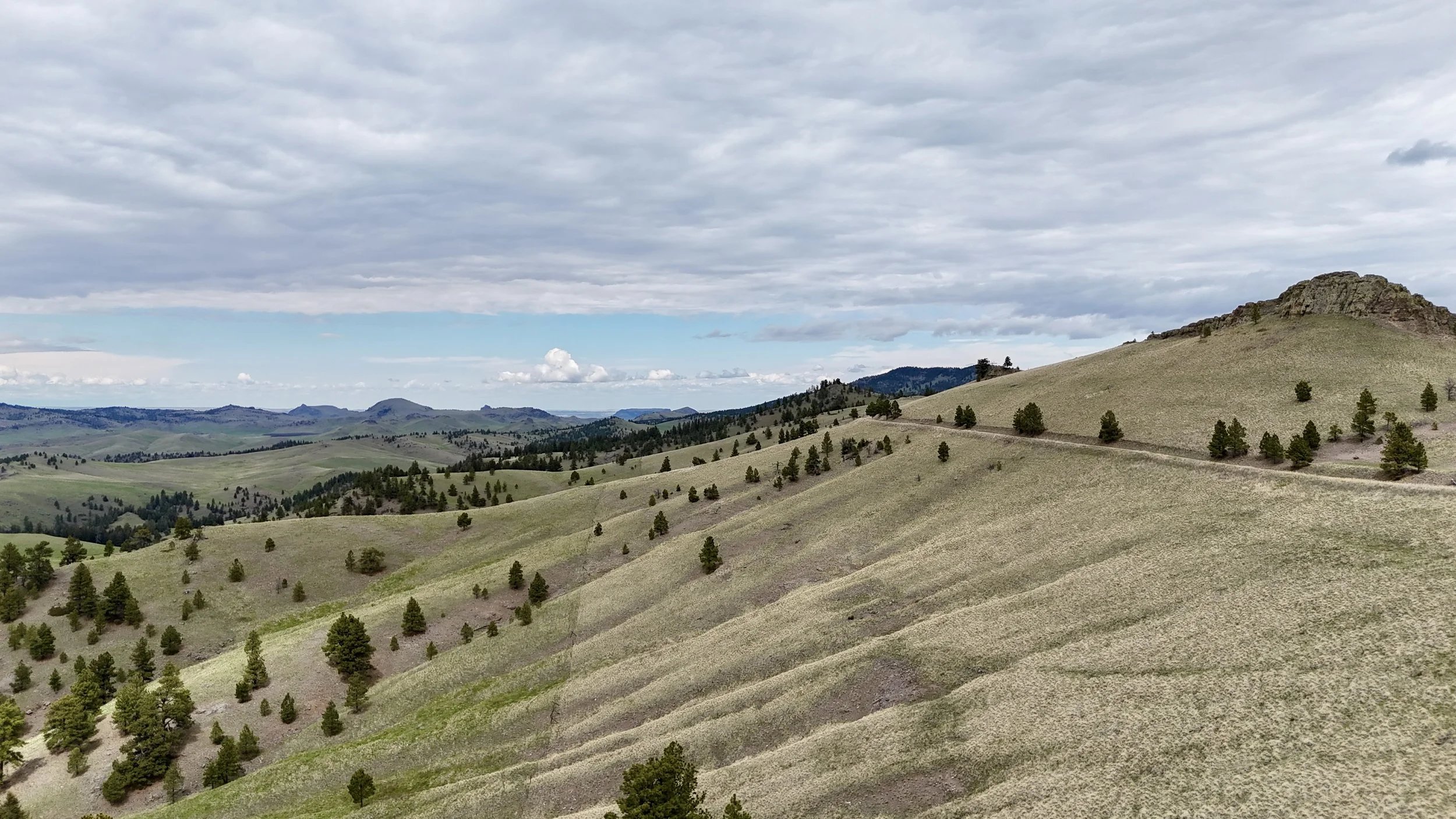 DJI_20260507134657_0084_D.JPG