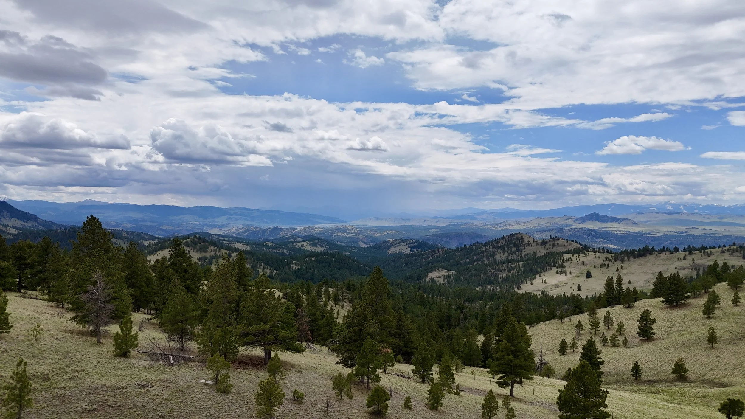 DJI_20260507134635_0081_D.JPG