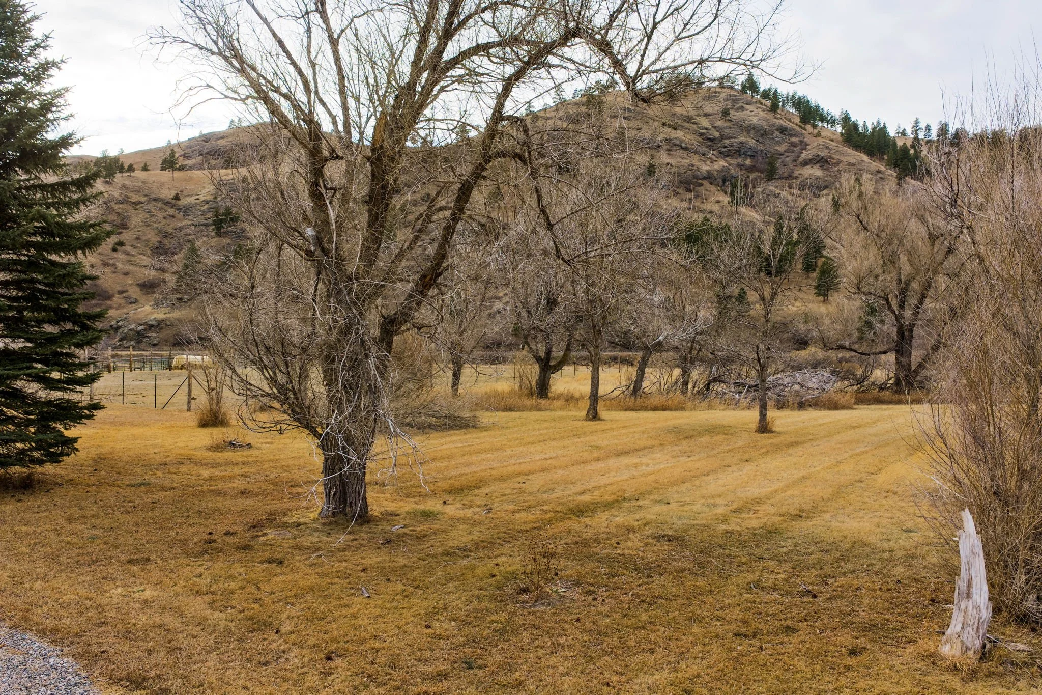 18-web-or-mls-REP-Space-2850-Old-US-Highway-91-Cascade-MT (18).jpg