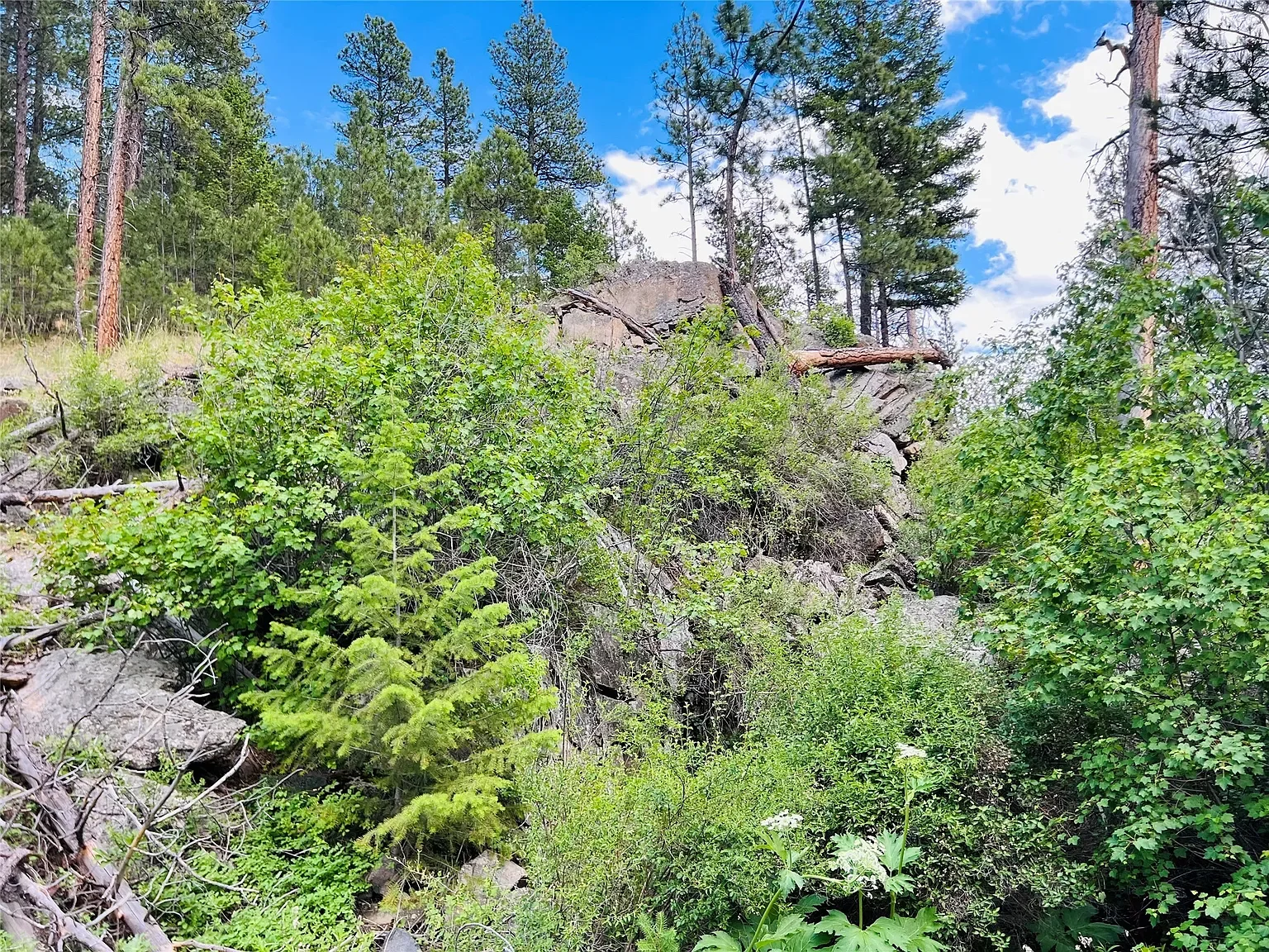 Nhn Upper Andy Creek Ln 14.webp