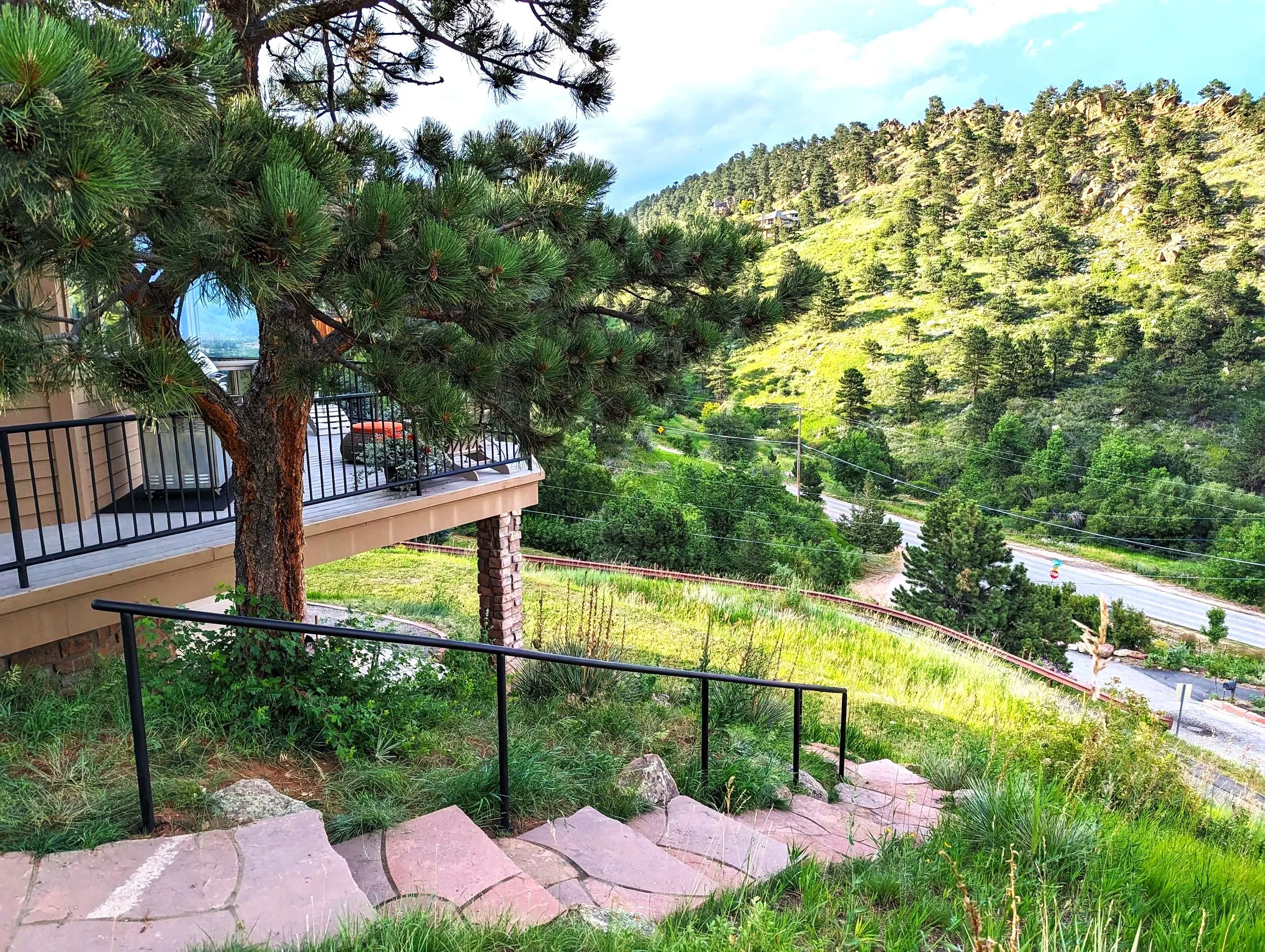 Exterior residential handrail down a stone pathway with greenery surrounding