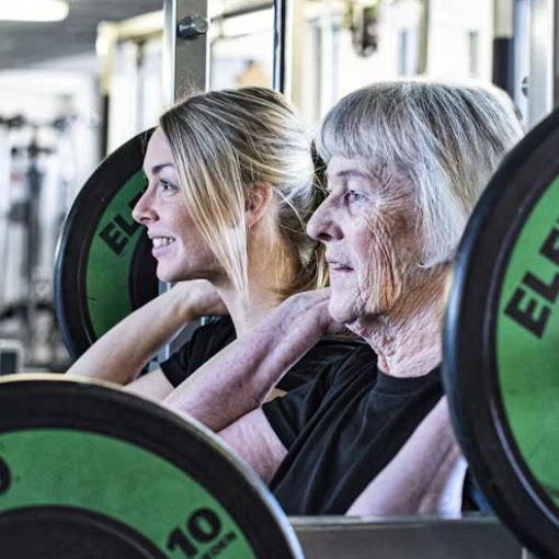 Longevity Guide