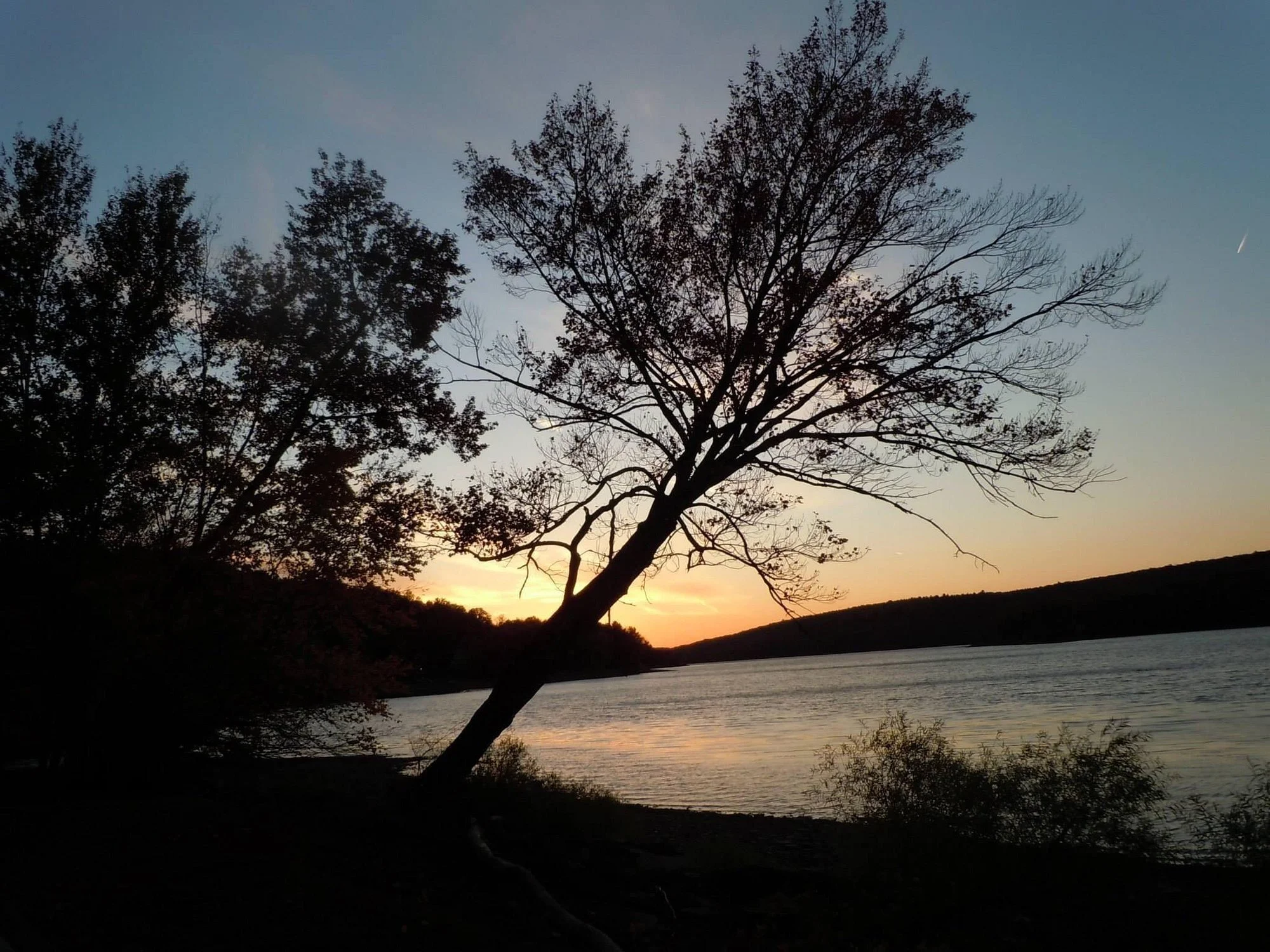 Silhouetted trees near a calm river at sunset with a clear sky.
