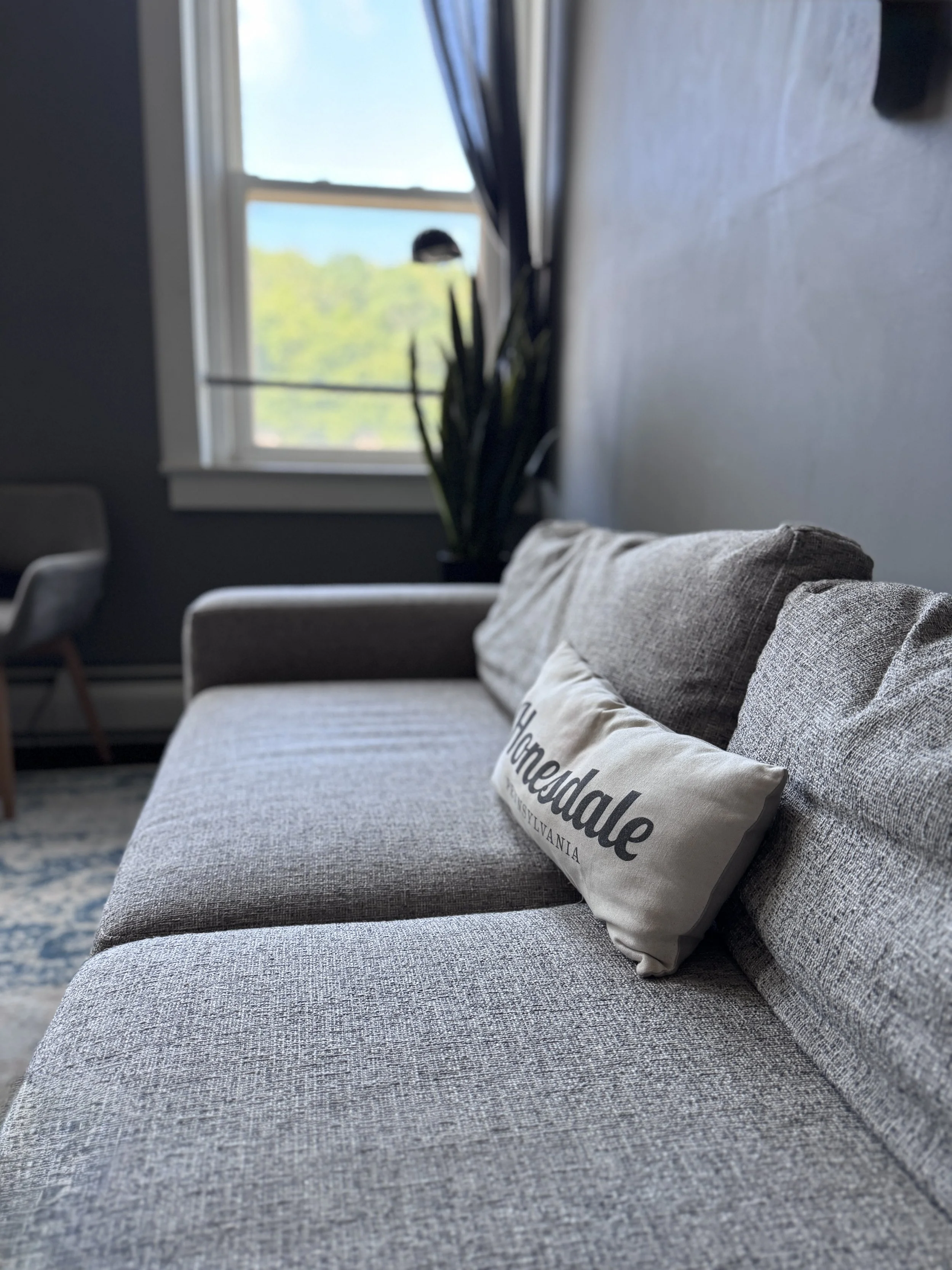 Close-up of a light gray fabric sofa with a pillow that reads "Honesdale Pennsylvania" in black text, against a wall with a window showing a tree outside and a large potted plant.