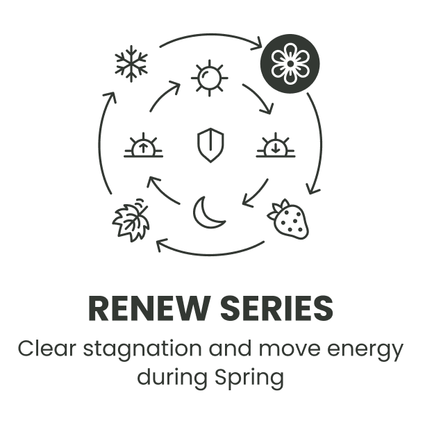 Renew Series.png