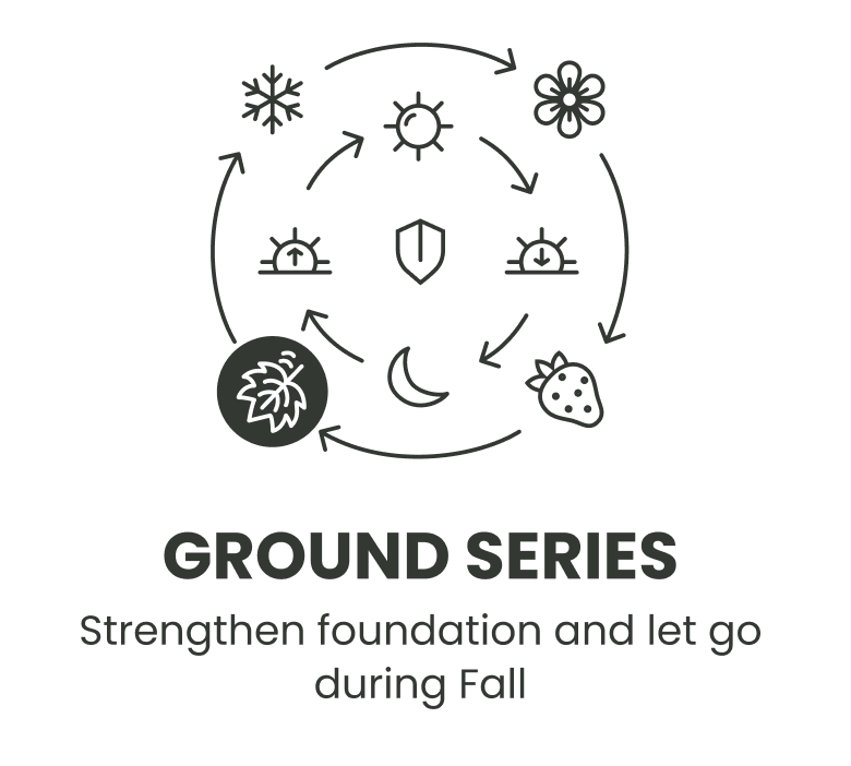 Ground Series.png