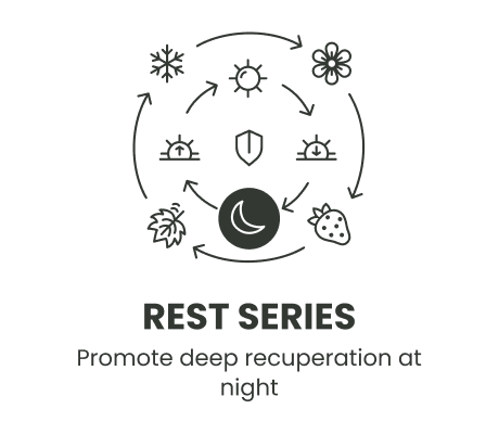 Rest Series.png