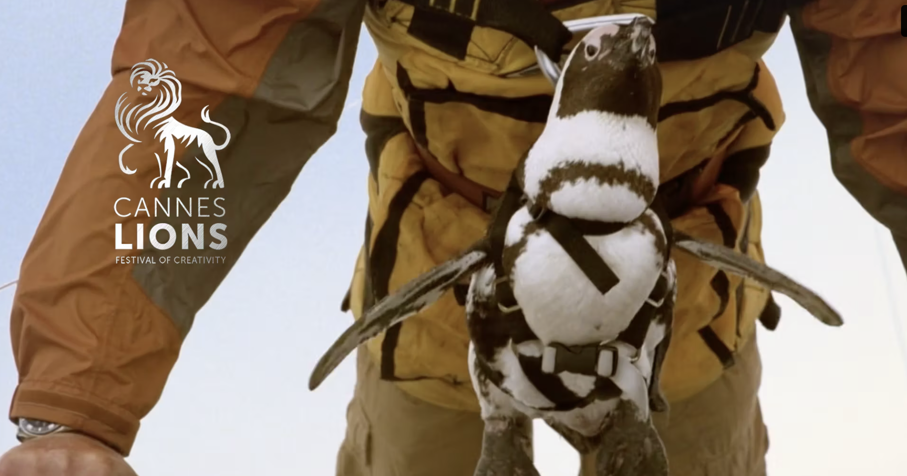 Screenshot 2026-02-12 at 8.44.33 AM.png