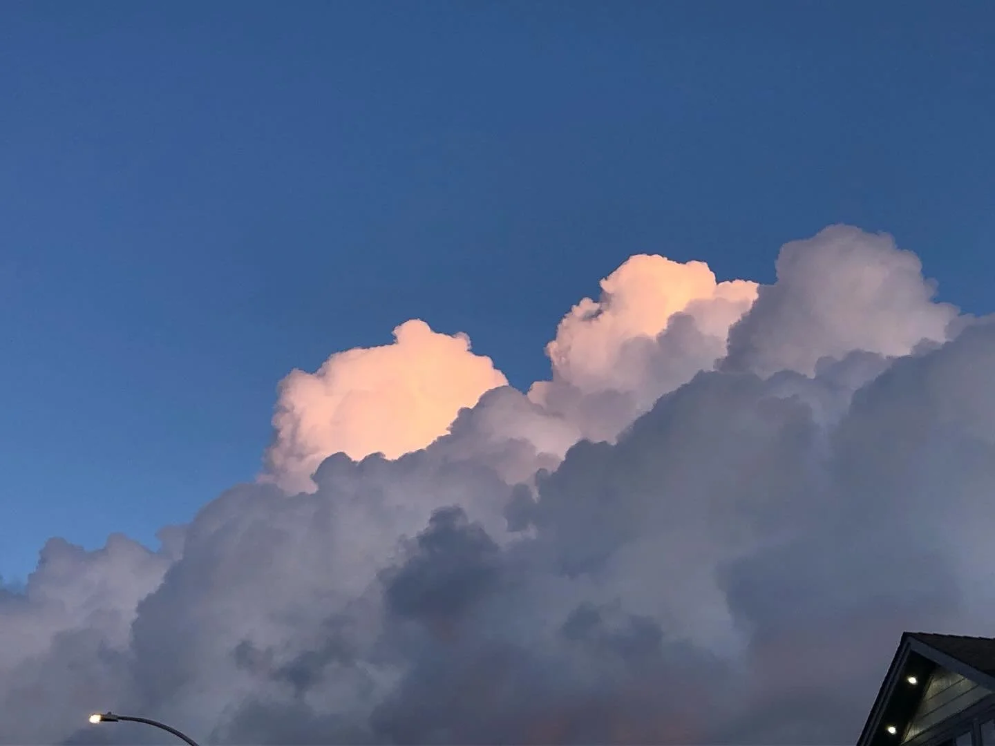 Some moments from the last few weeks ✨ Would love to see you at one of my next workshops! Come join my bookmaking army; We&rsquo;ll make art and fight fascism with our stories. 

www.embermuninnart.com/workshops