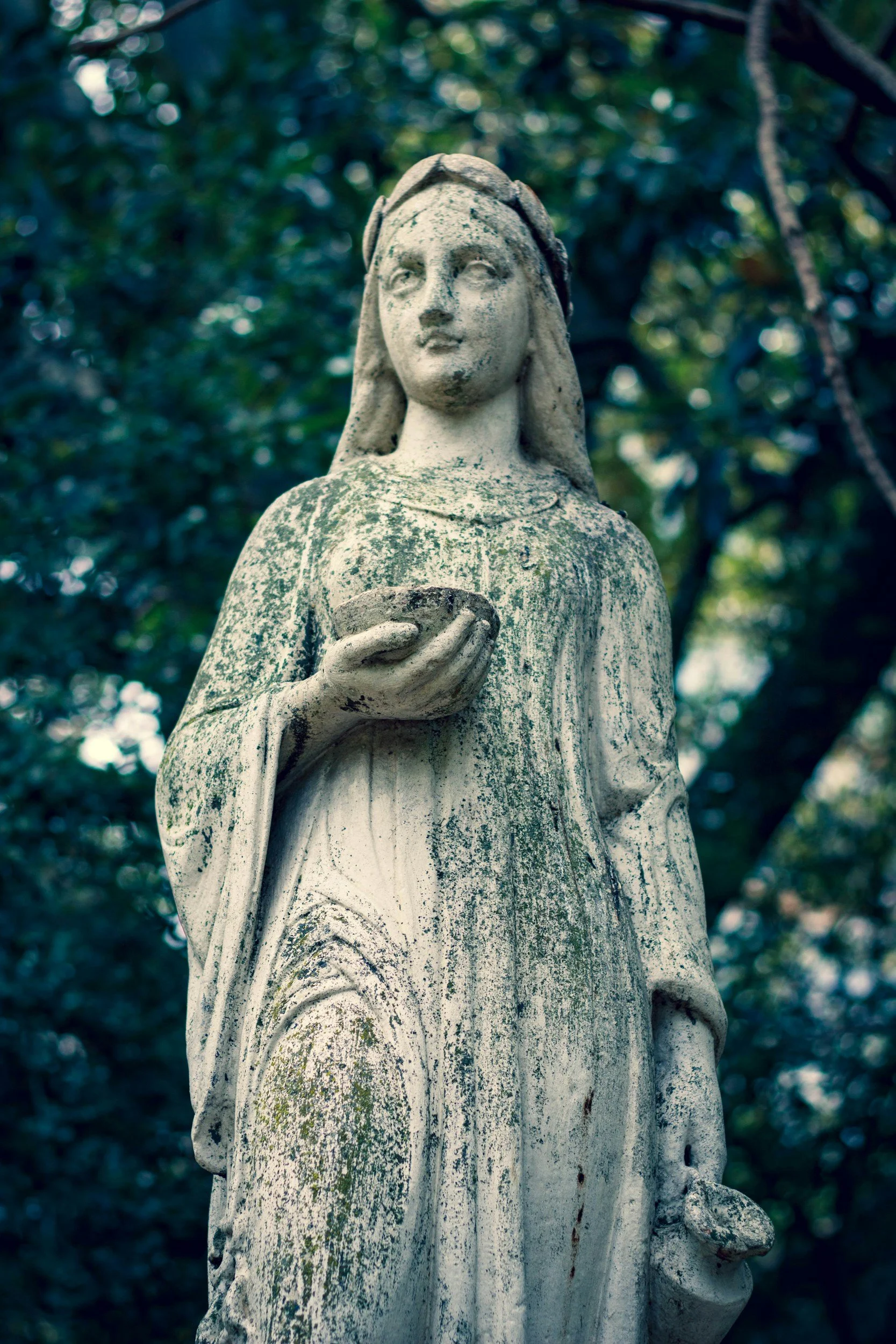 Cerridwen: Goddess of Transformation, Wisdom, and the Sacred Cauldron