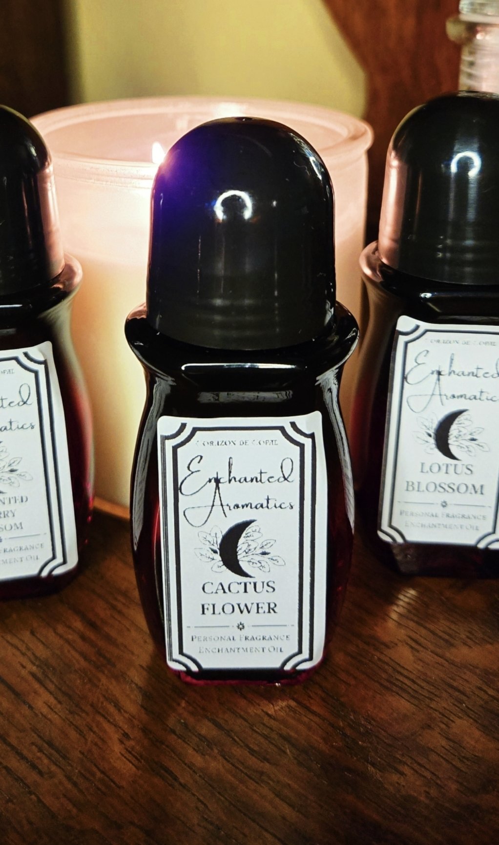 Screenshot_20260421_234536_Gallery (1).jpg