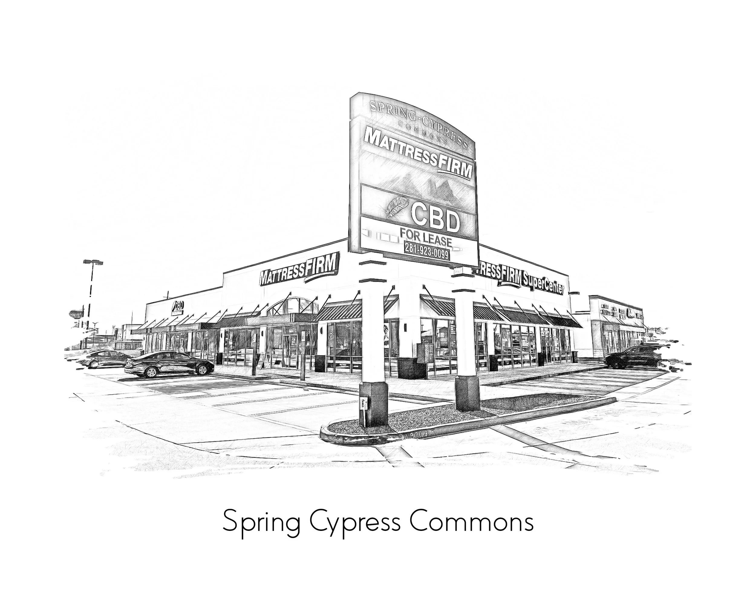 Spring Cypress Commons