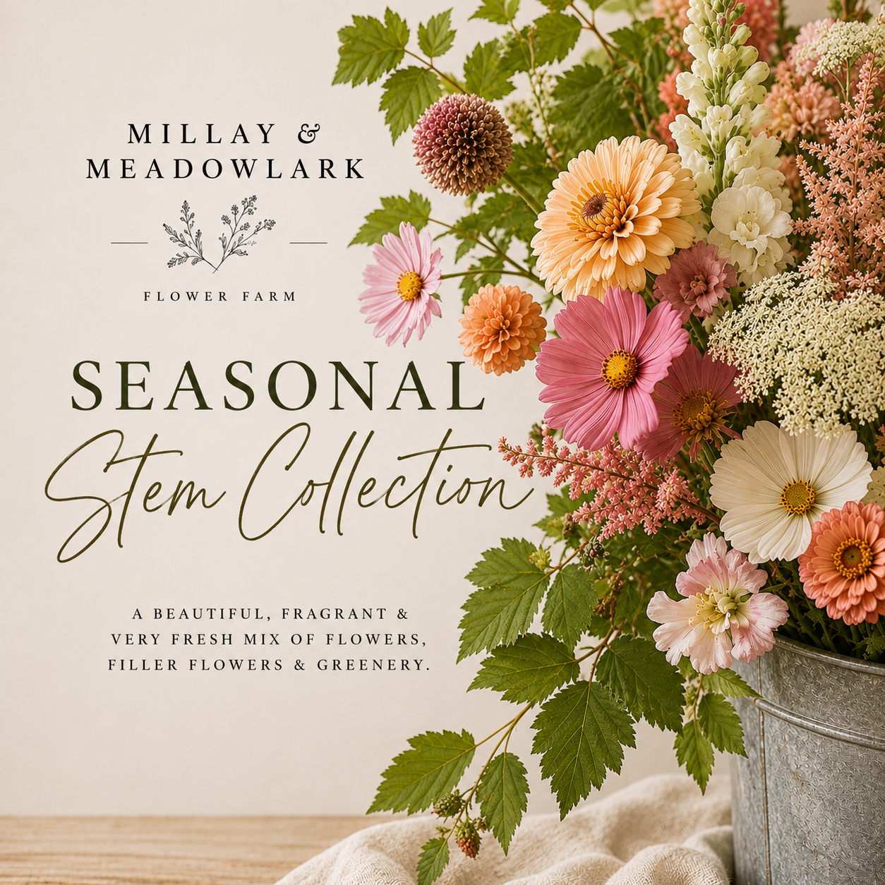 Seasonal Stem Collection .png