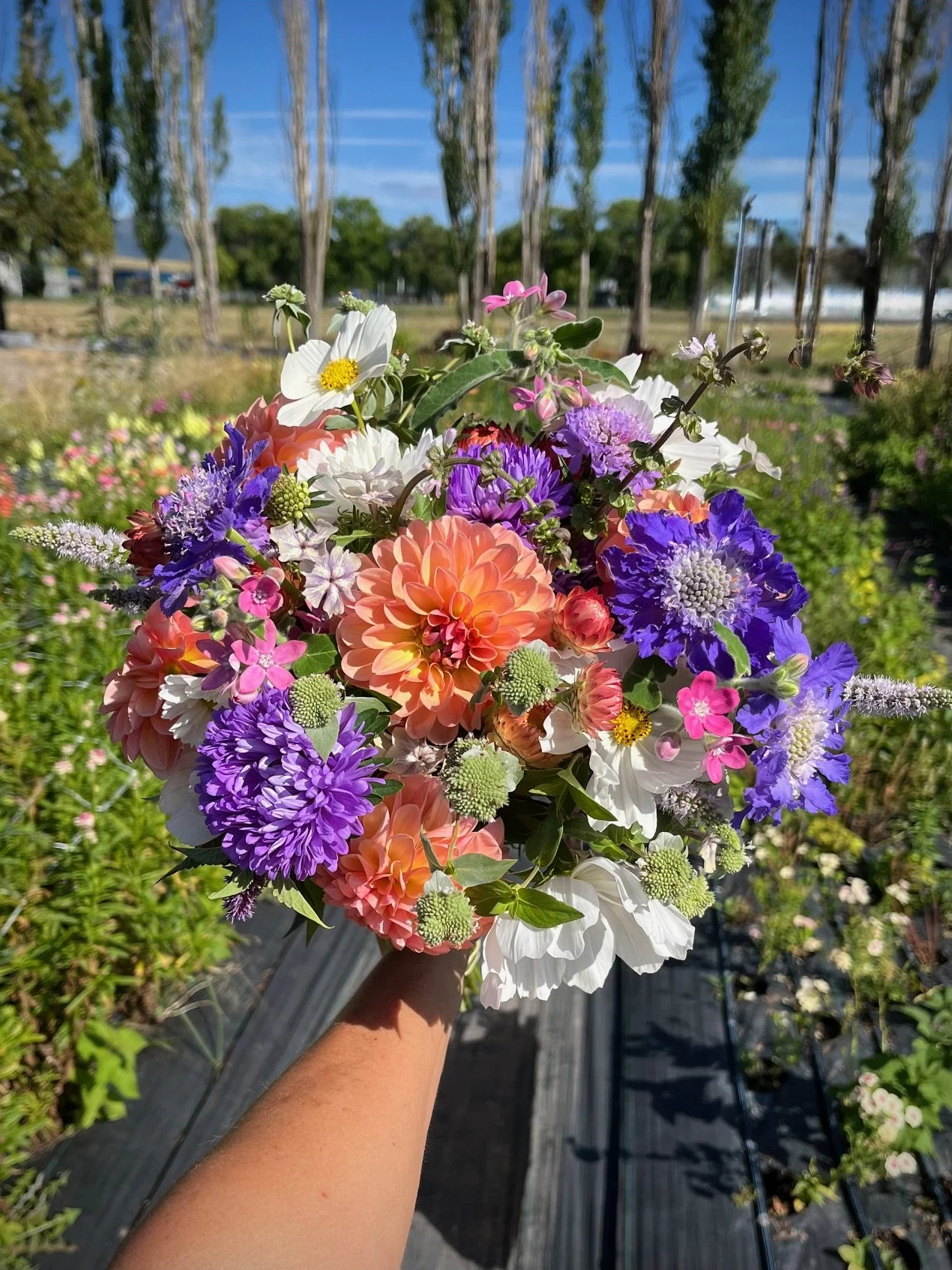 Summer flower subscription with weekly farm-grown bouquets in Missoula, Montana