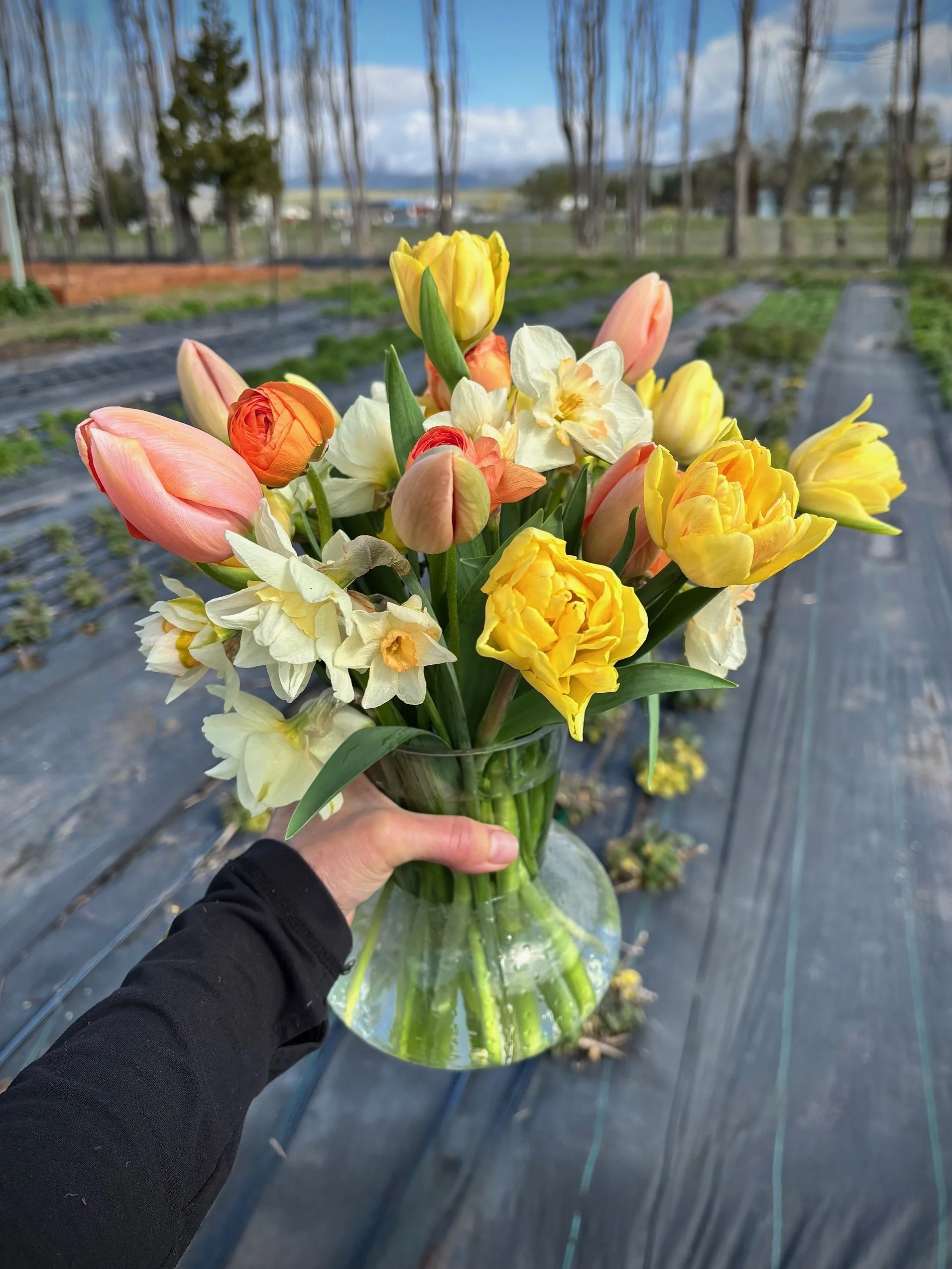 example 4 sub 1.jpeg