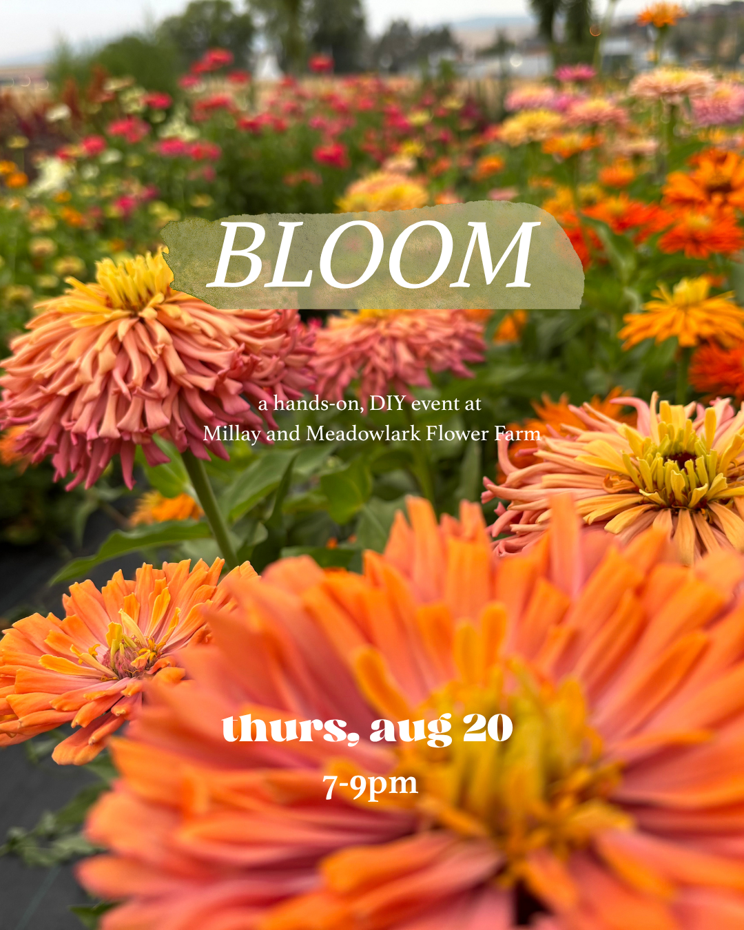 8.20 FLYER (2).png