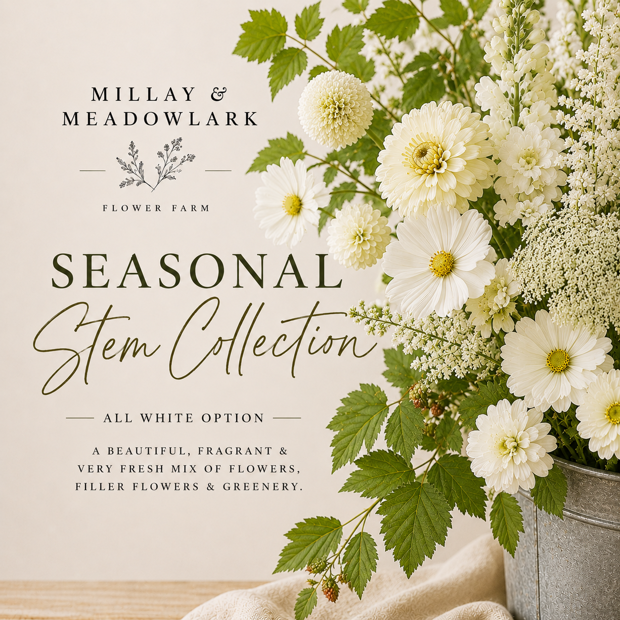 Seasonal Stem Collection_white .png