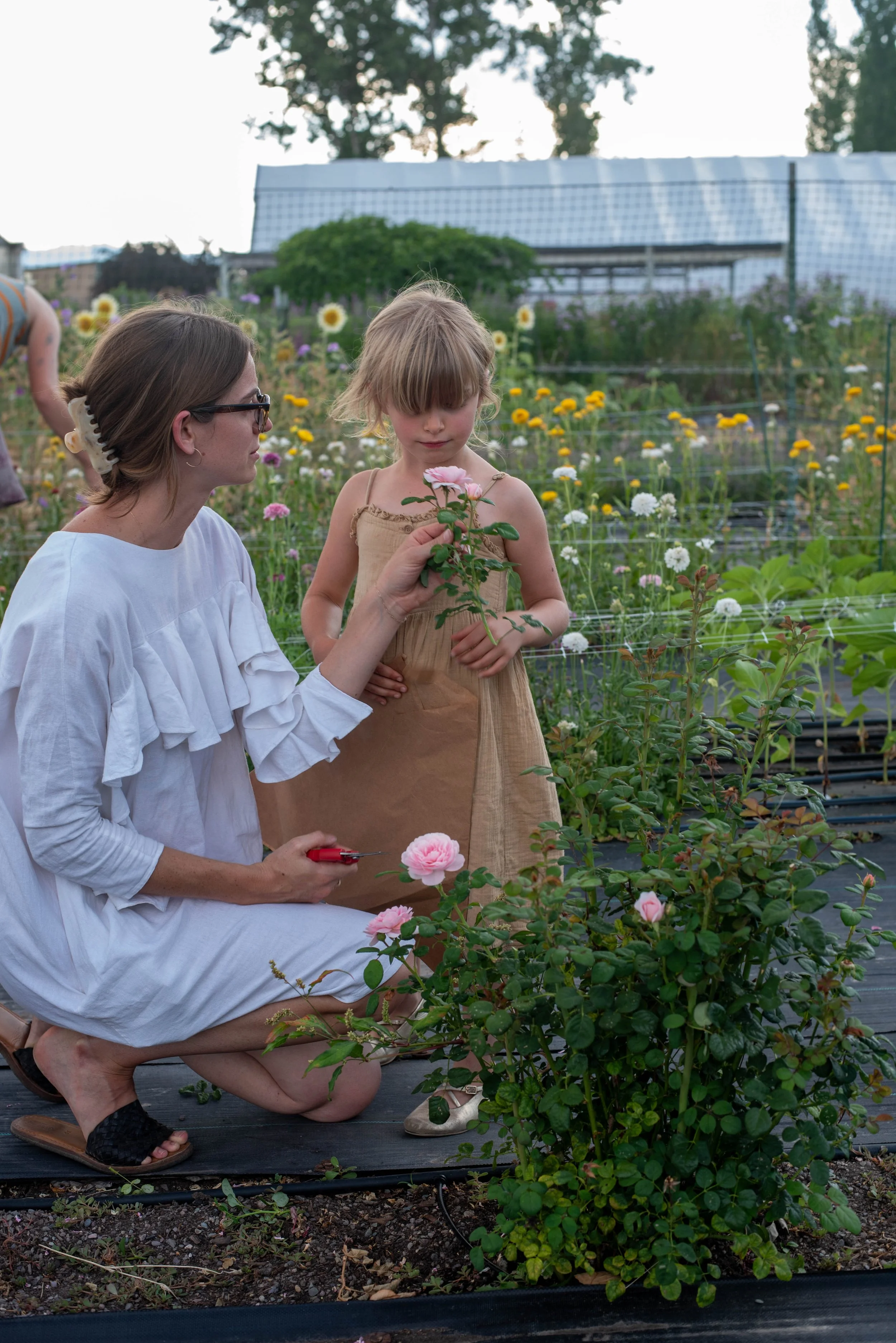 On-farm flower event at a Missoula, Montana flower farm