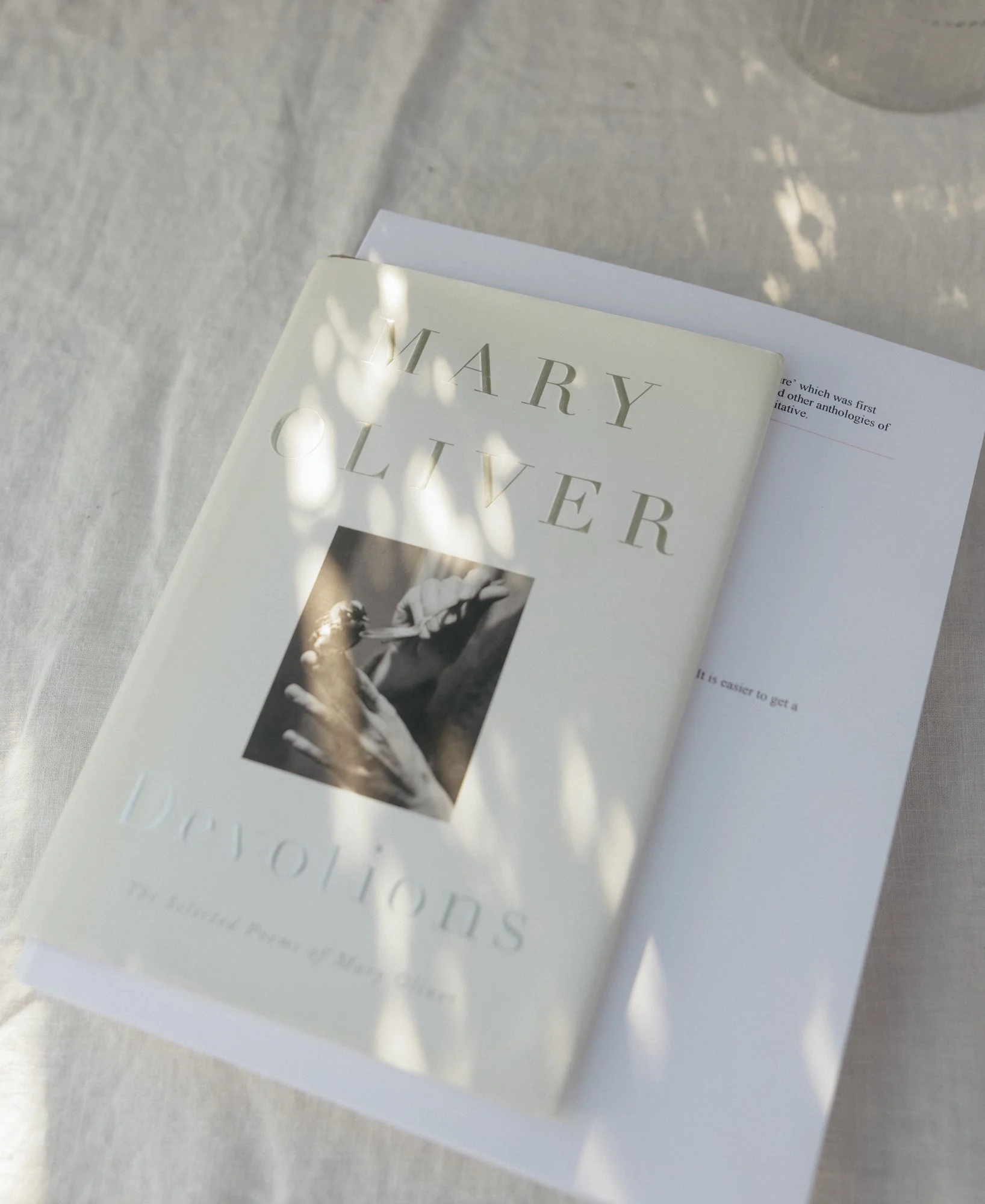 A paperback book titled "Diolchion" by Mary Oliver resting on an open book on a light-colored fabric surface, with shadows of leaves cast on the book cover. Millay and Meadowlark Flower Farm in Missoula, Montana. Weddings and Corporate events.