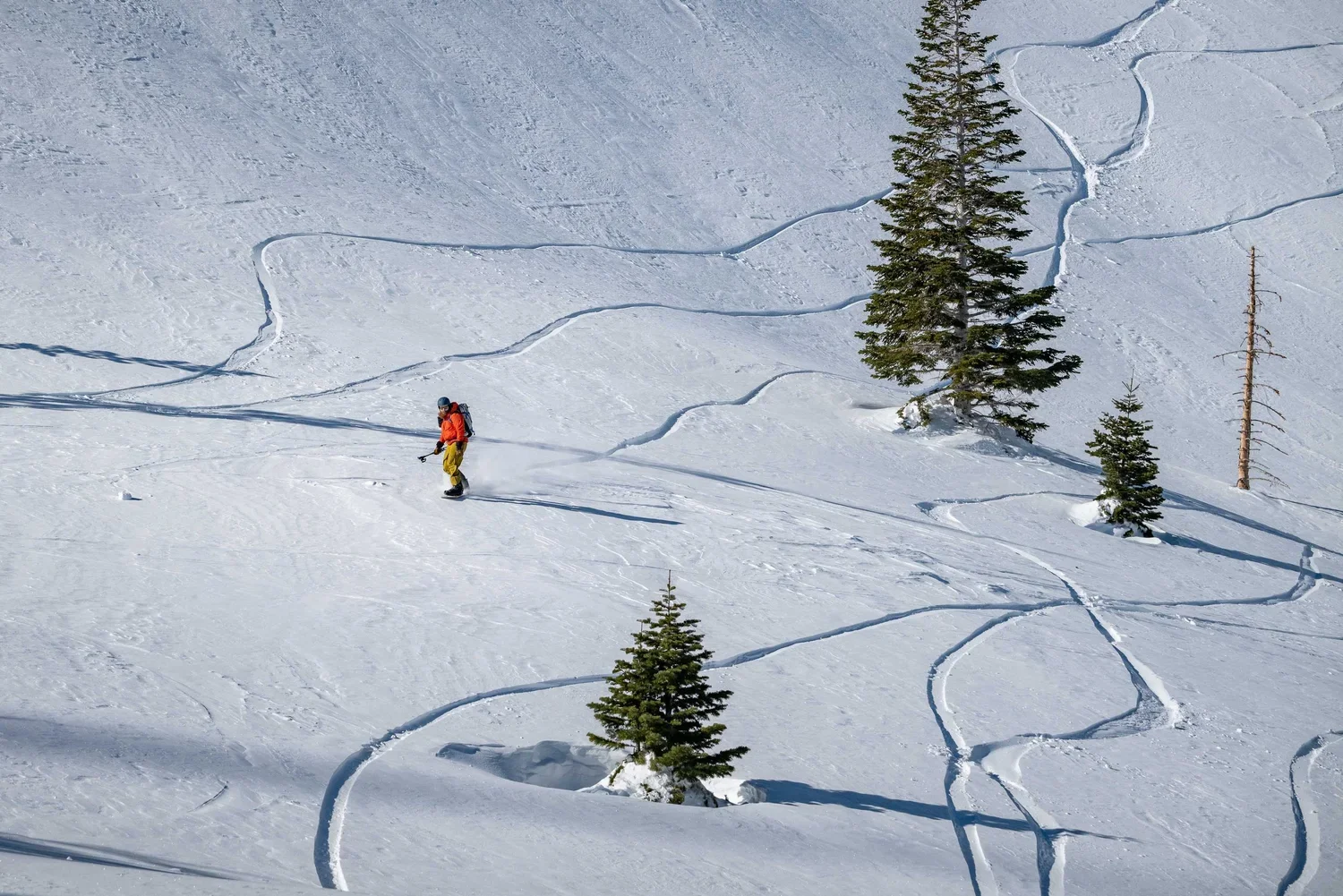 Small group backcountry skiing class in Mammoth Lakes