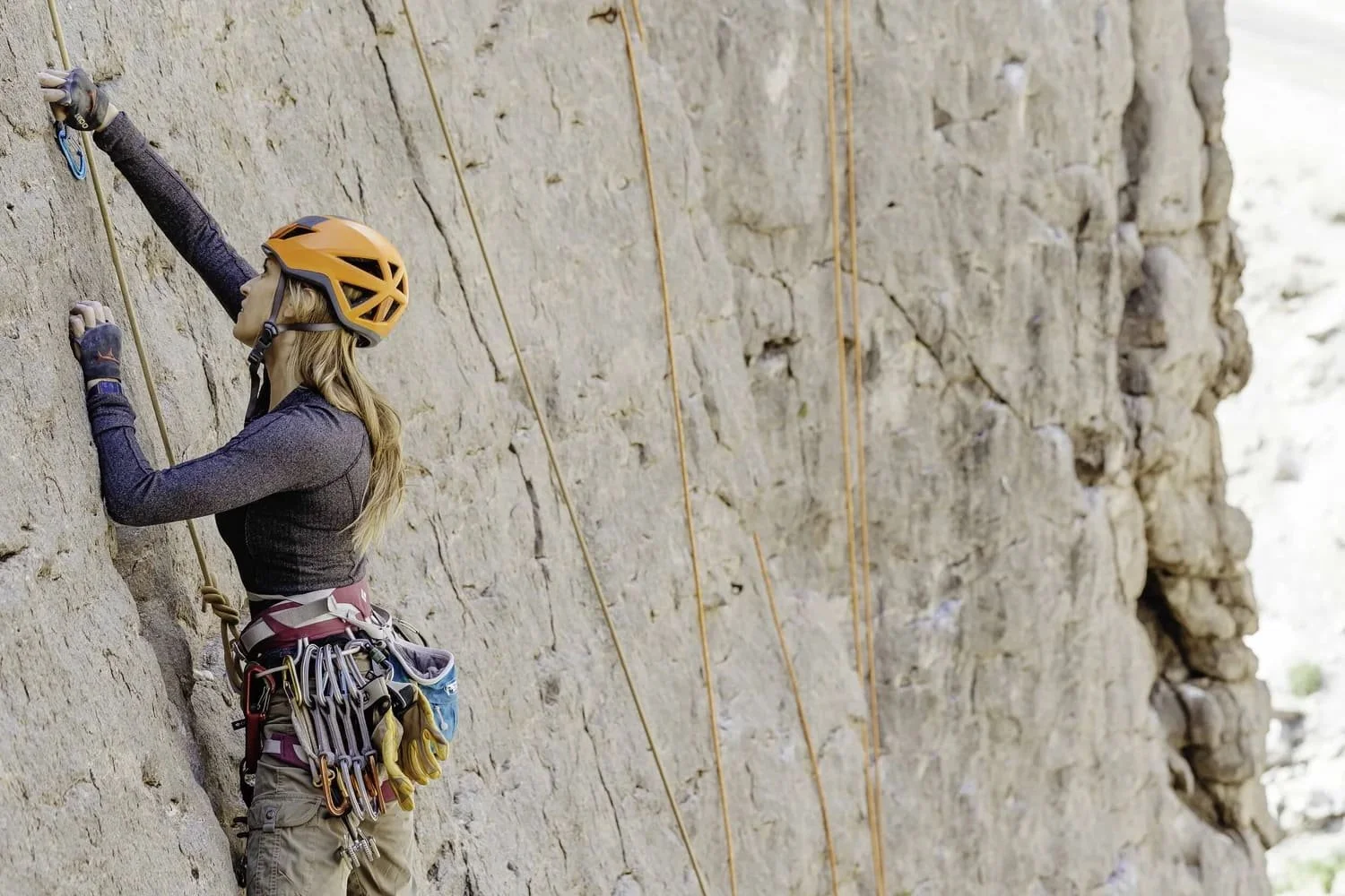 High-country mountain environment in the Eastern Sierra of California